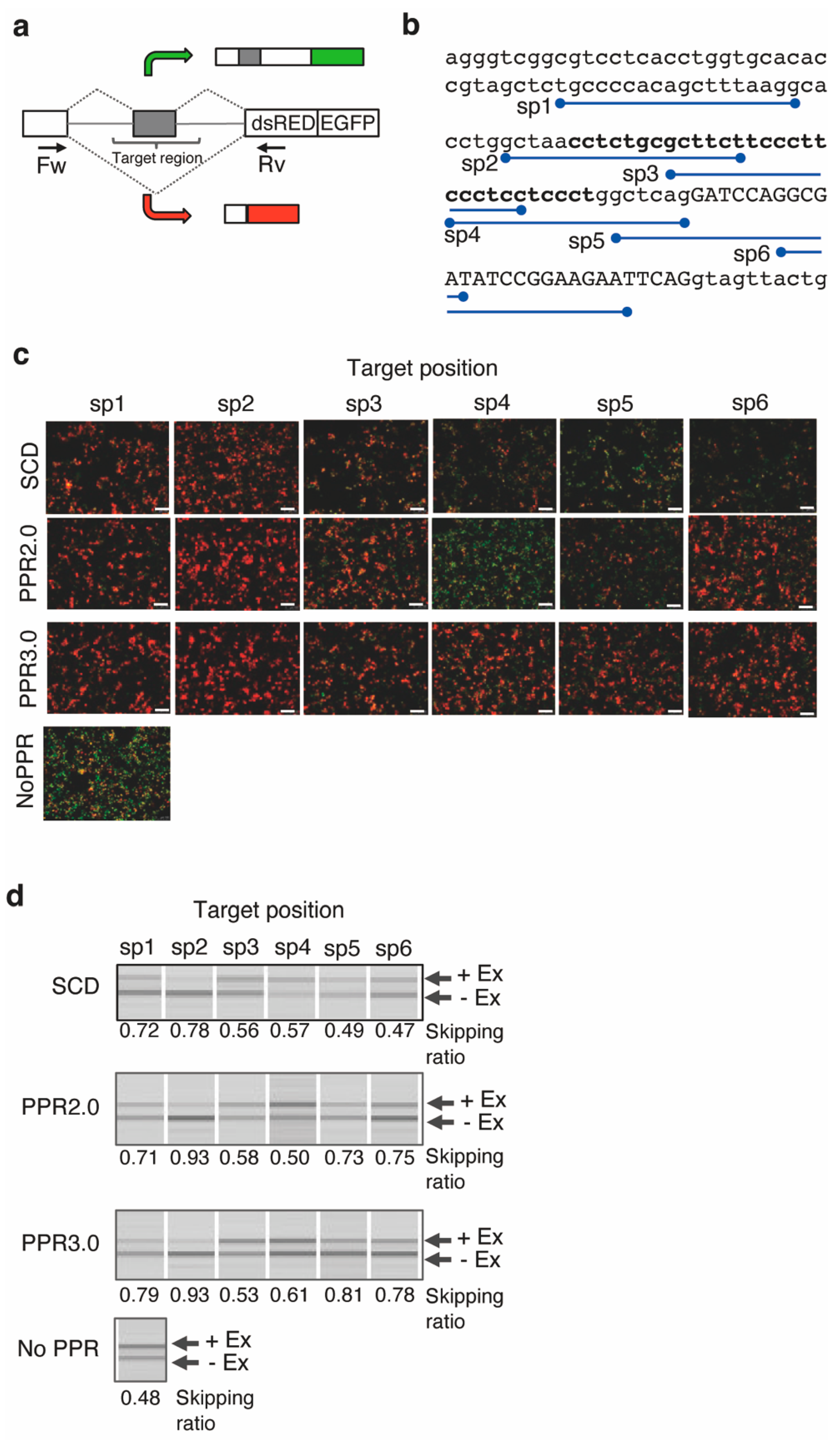 Cells 11 03529 g004 Cells 11 03529 g004