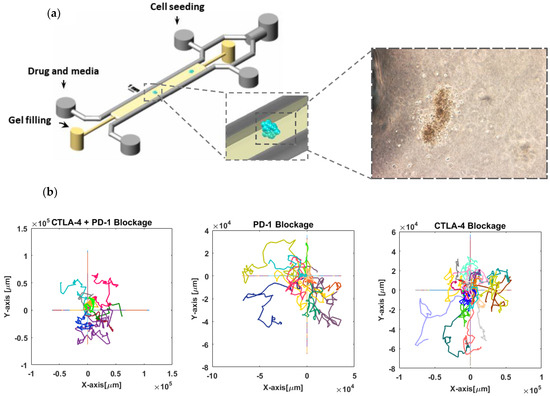 Characterization and immune regulation role of an immobilization