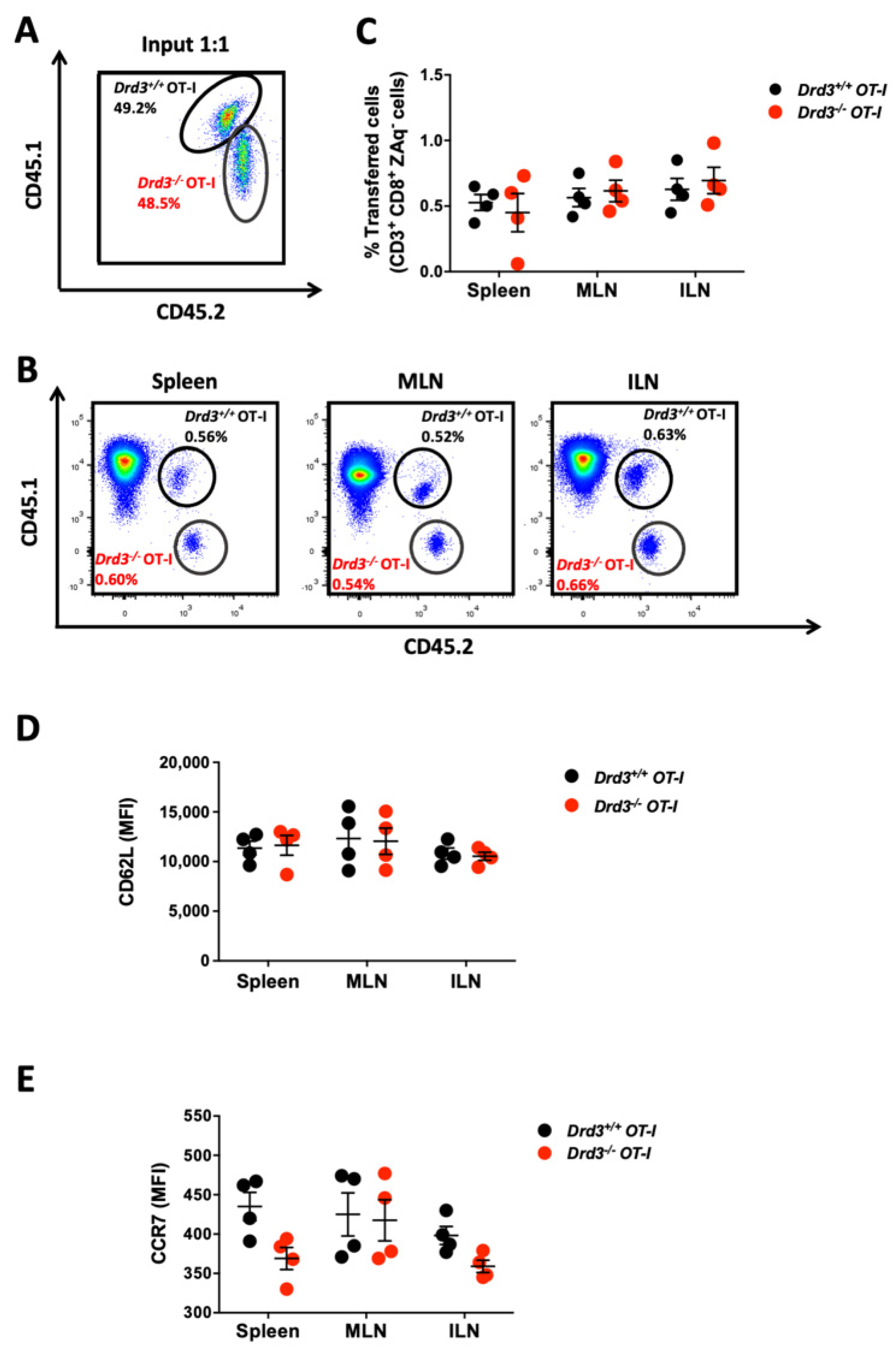 Cells 11 03536 g002 Cells 11 03536 g002