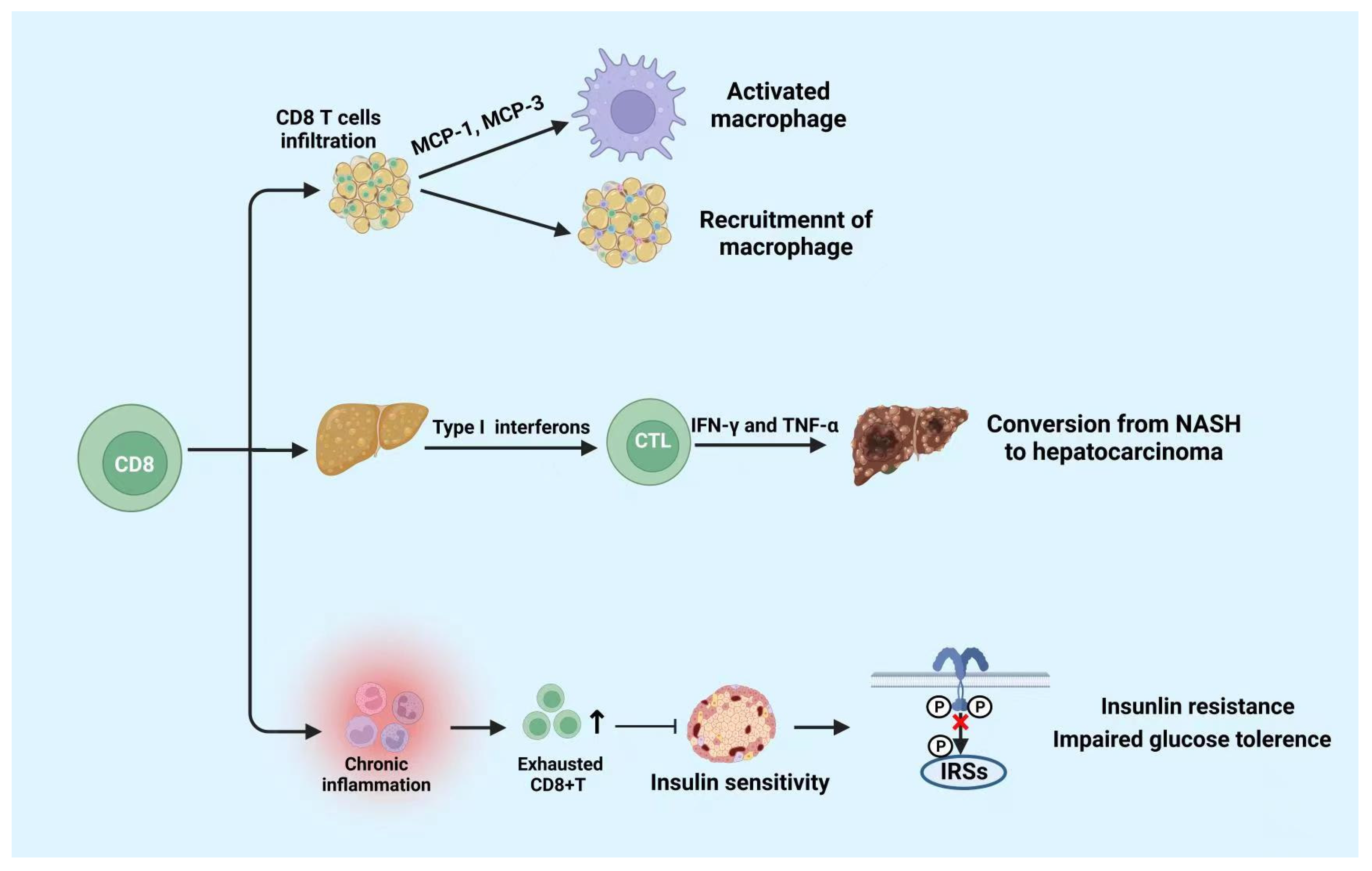 Cells 11 03554 g004 Cells 11 03554 g004
