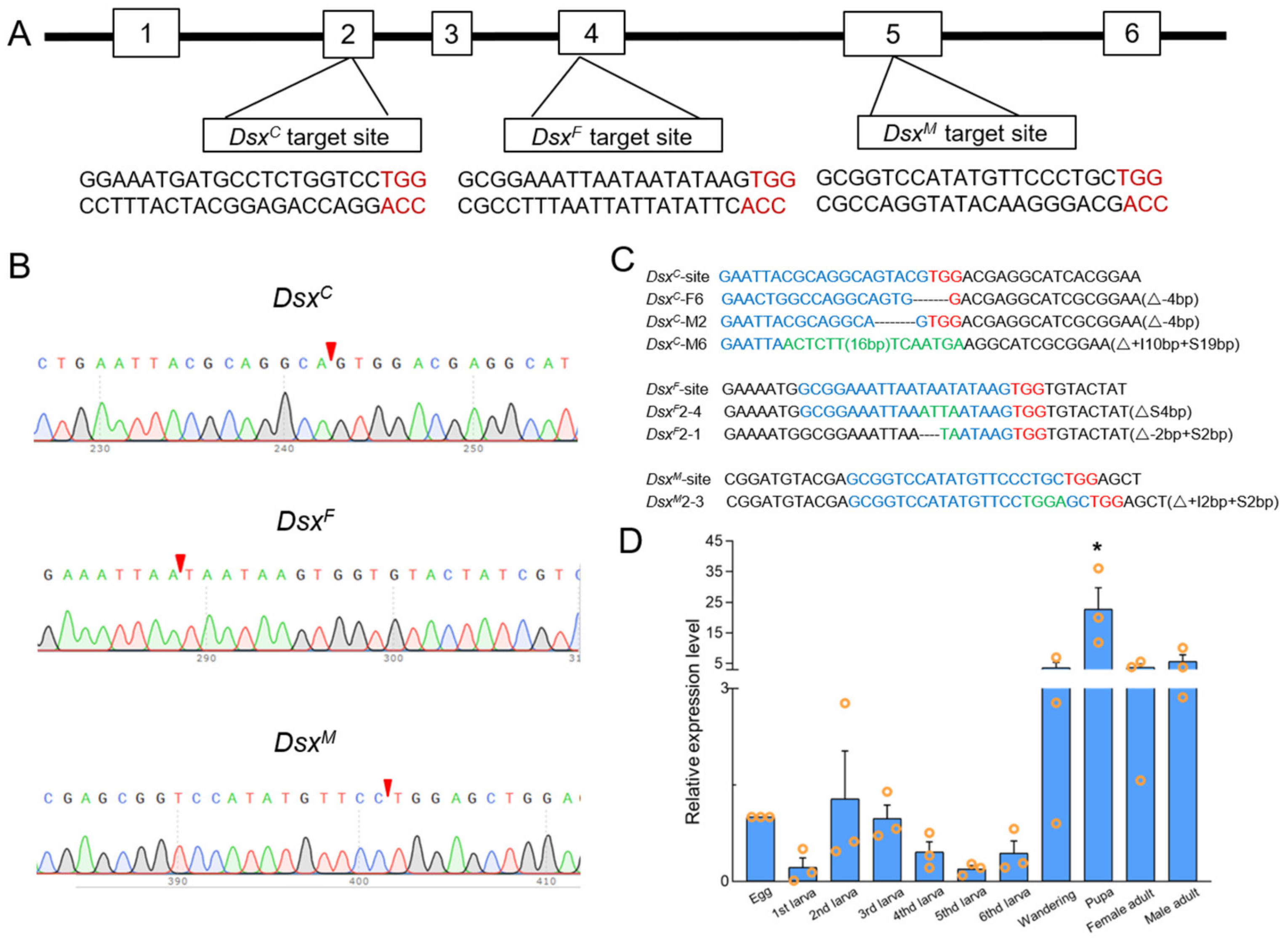 Cells 11 03557 g001 Cells 11 03557 g001