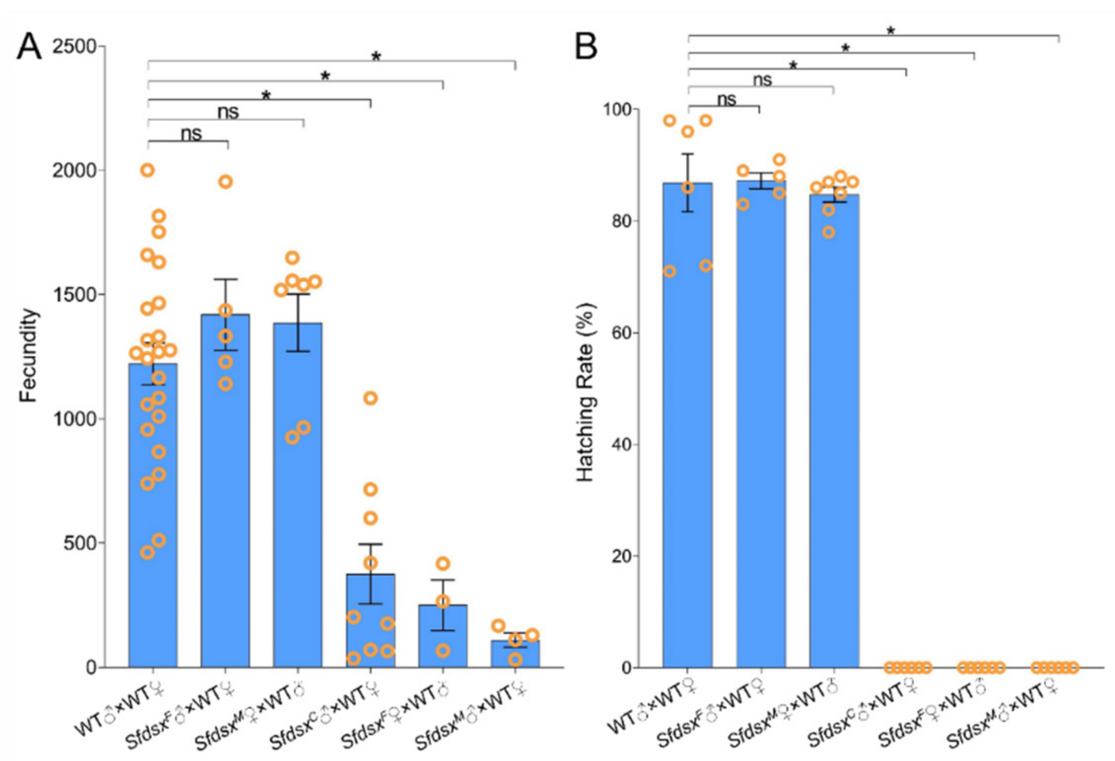 Cells 11 03557 g005 Cells 11 03557 g005