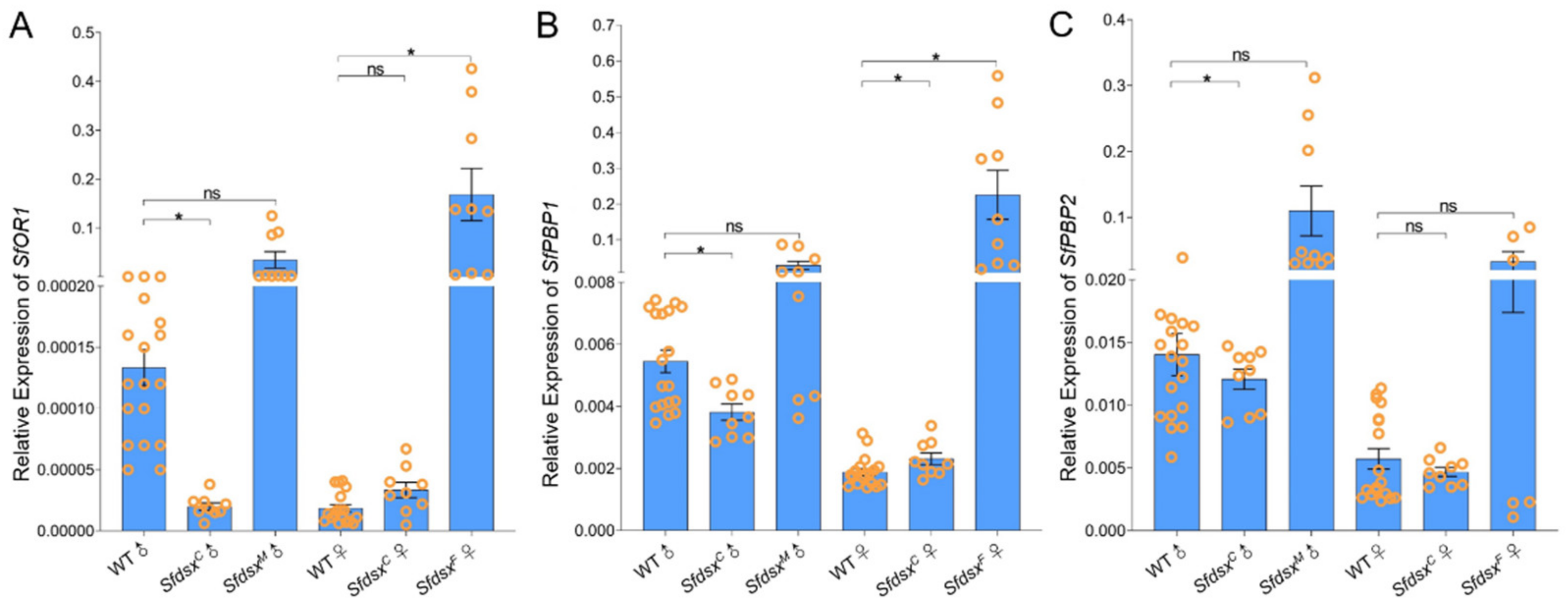 Cells 11 03557 g006 Cells 11 03557 g006