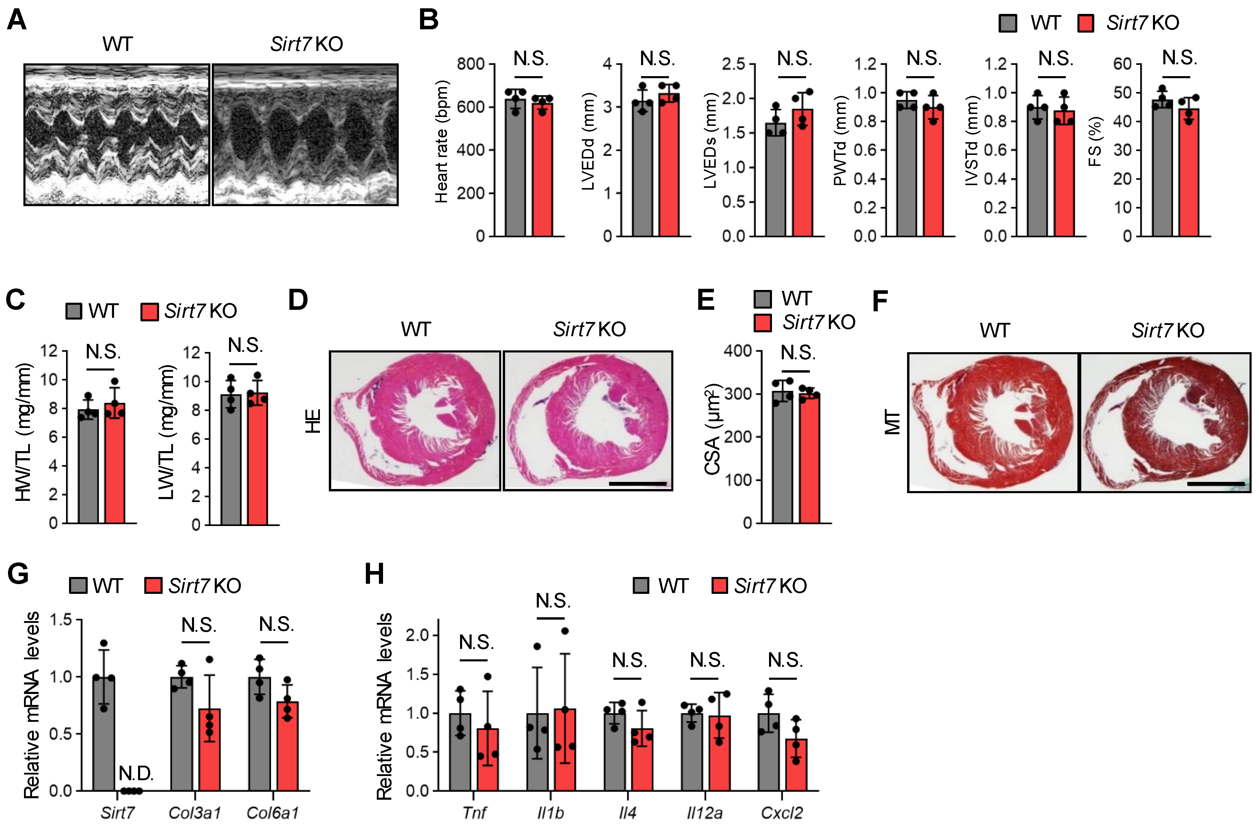 Cells 11 03609 g001 Cells 11 03609 g001