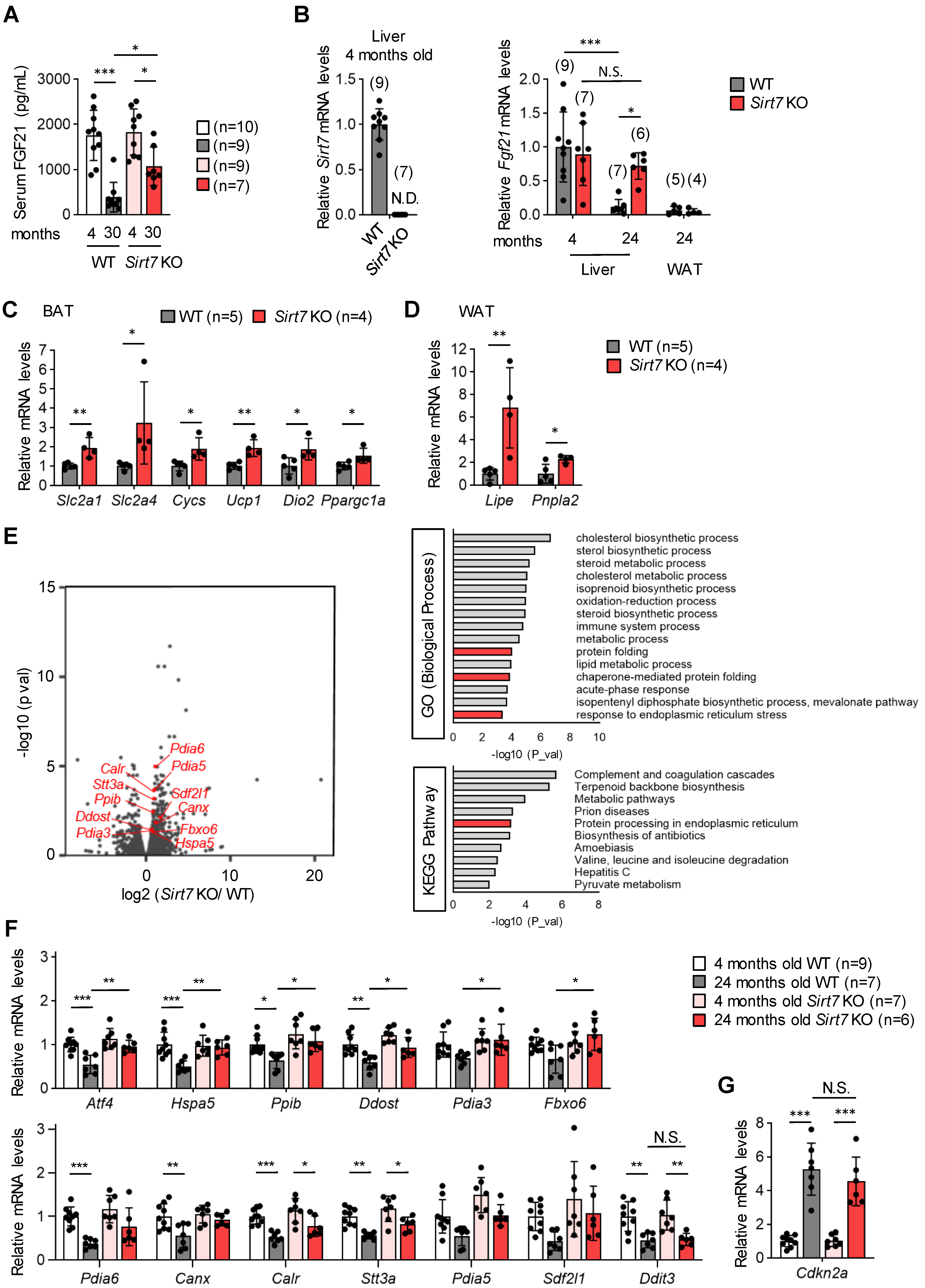 Cells 11 03609 g005 Cells 11 03609 g005