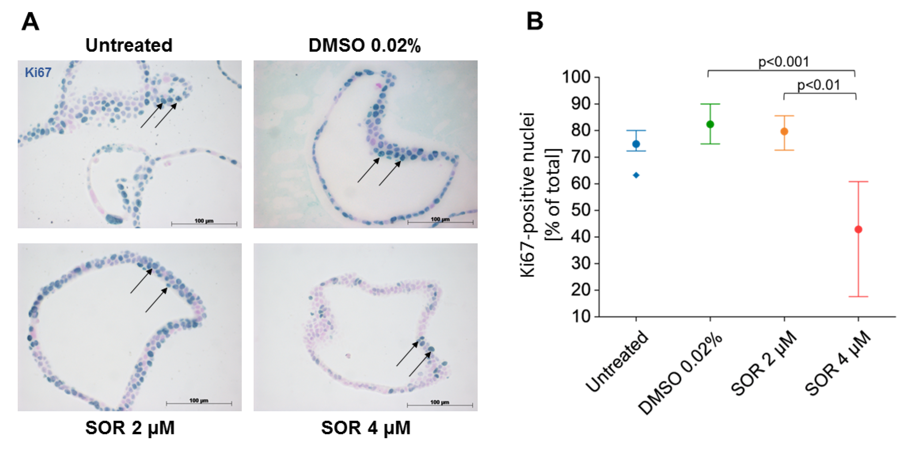 Cells 11 03613 g003 Cells 11 03613 g003