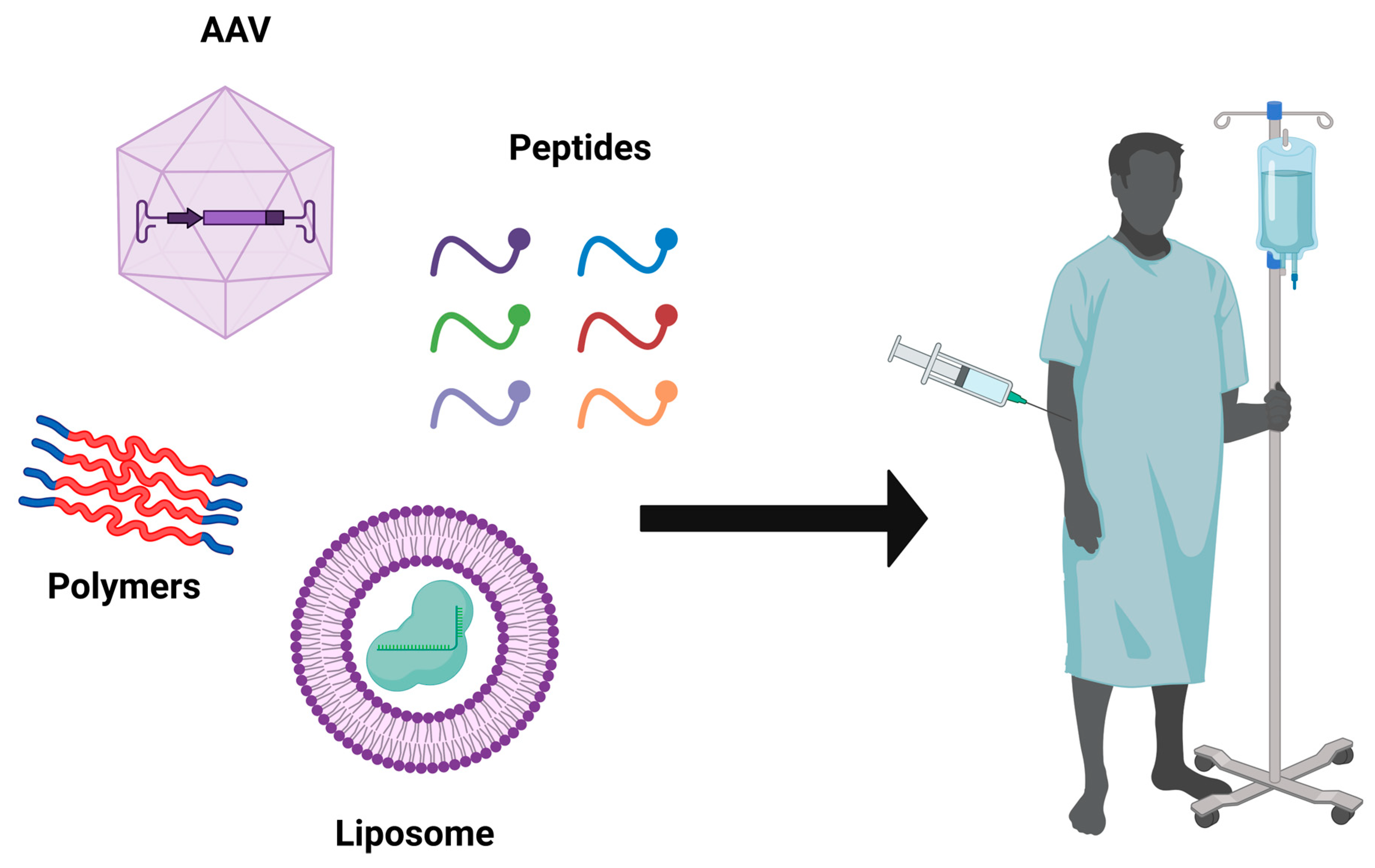 Cells 11 03615 g005 Cells 11 03615 g005