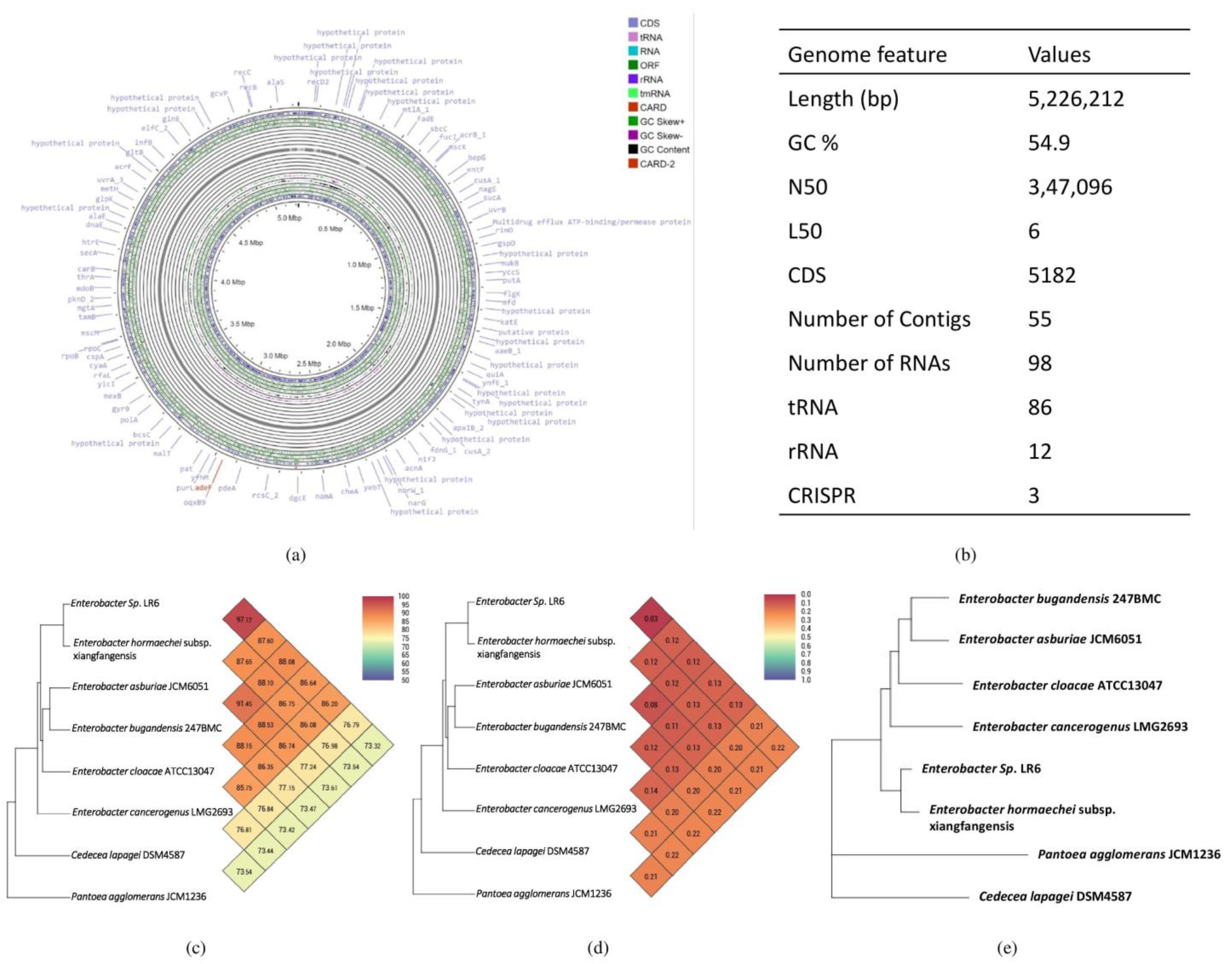 Cells 11 03622 g002 Cells 11 03622 g002
