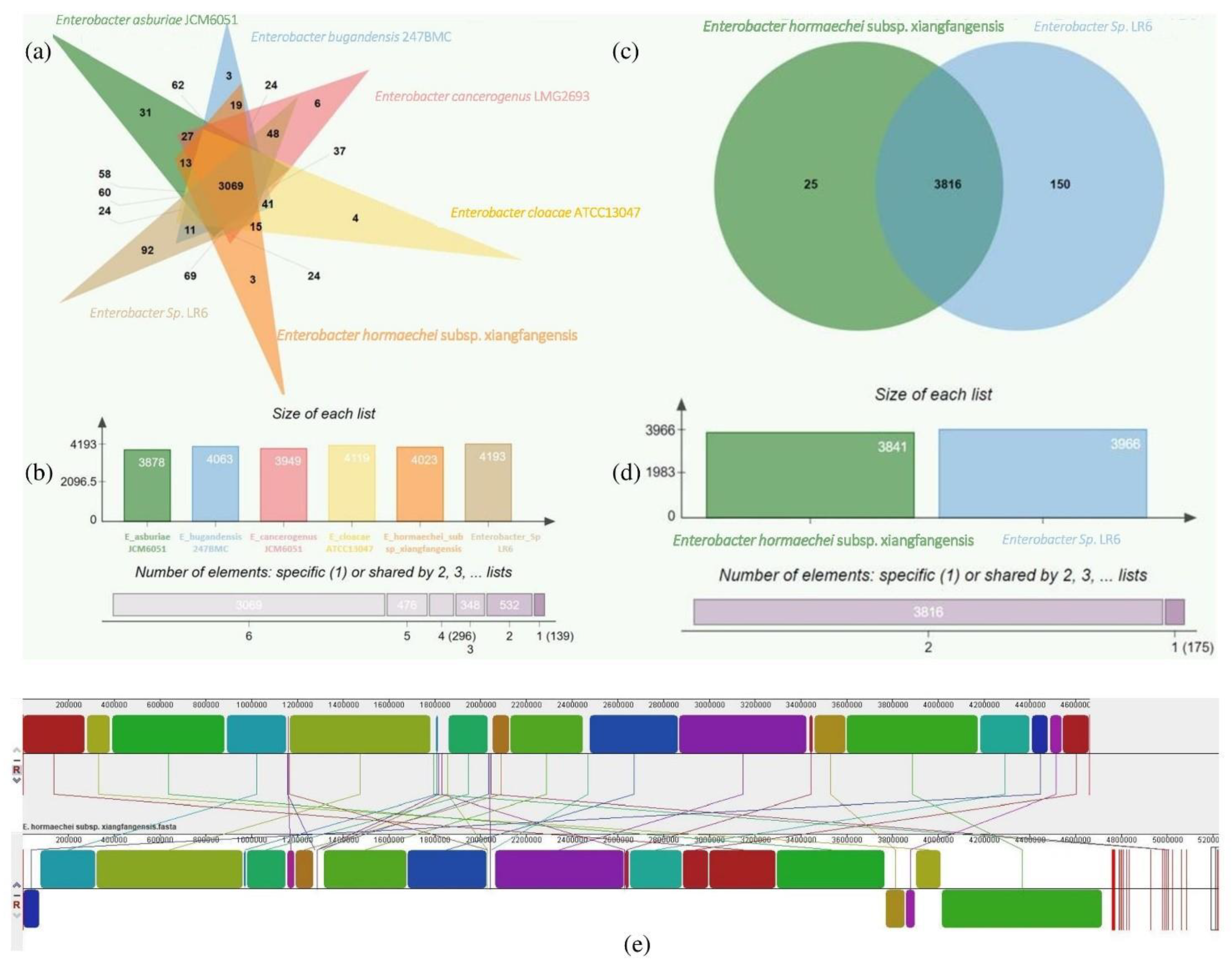 Cells 11 03622 g003 Cells 11 03622 g003