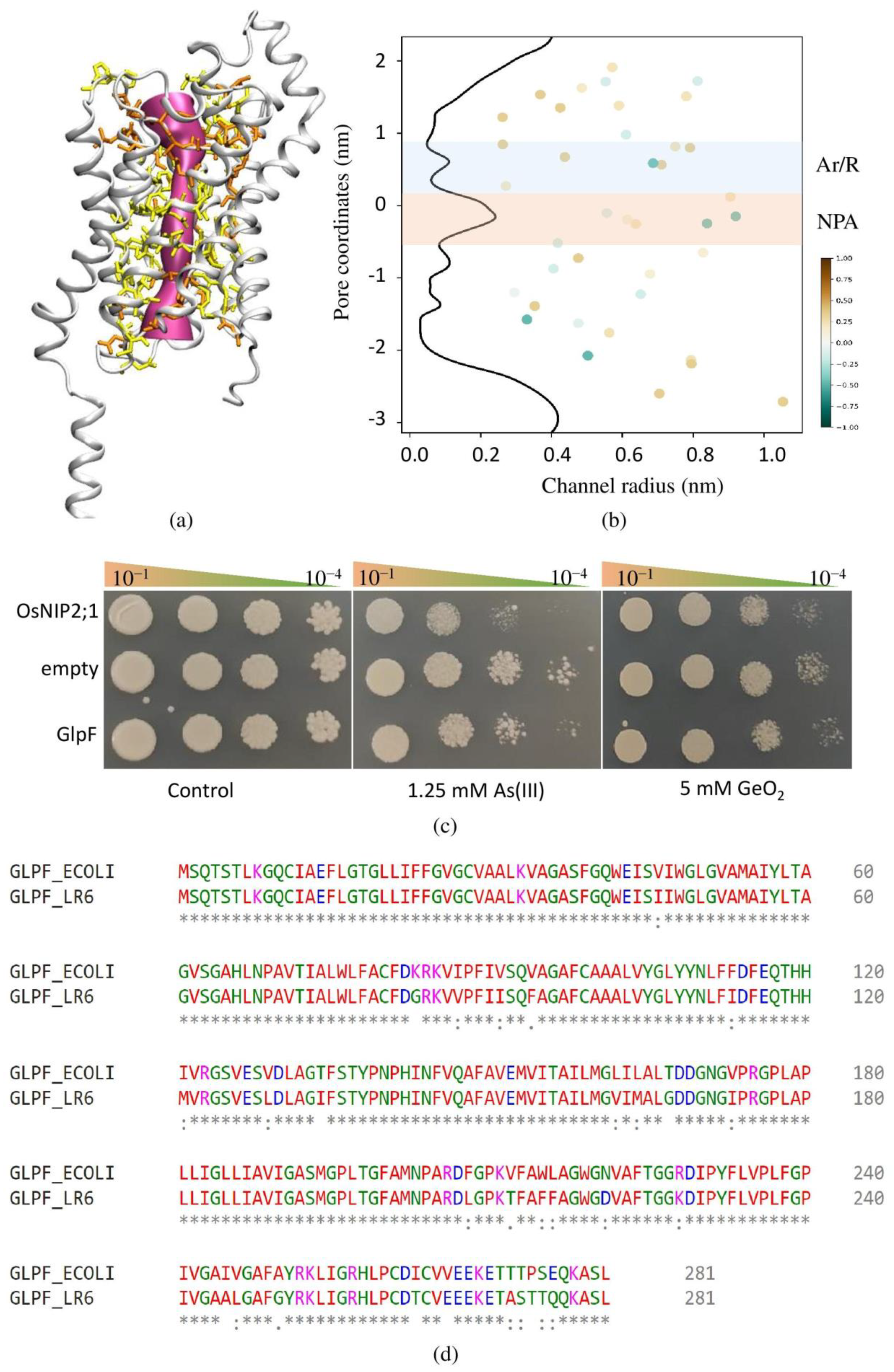 Cells 11 03622 g005 Cells 11 03622 g005