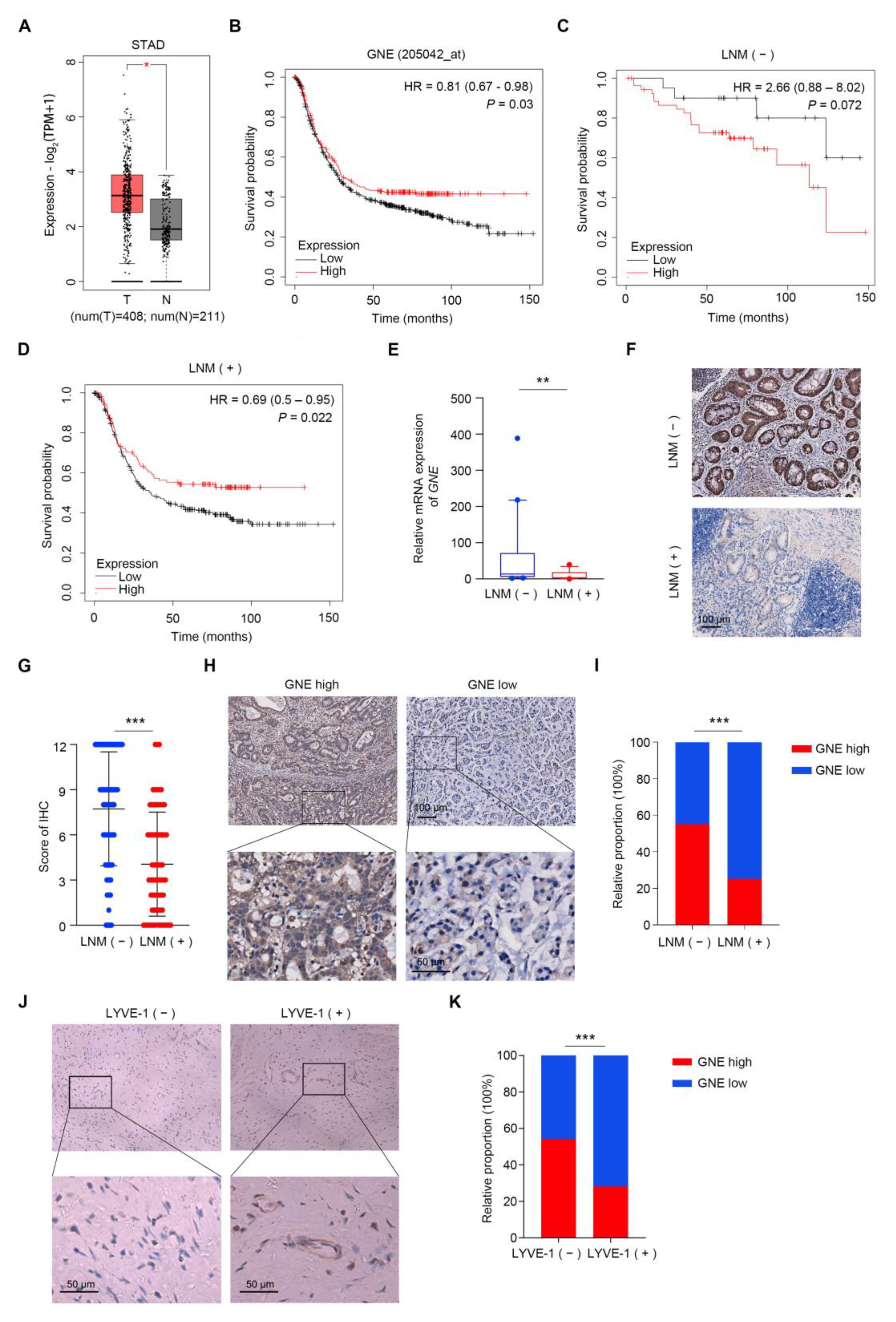 Cells 11 03624 g001 Cells 11 03624 g001