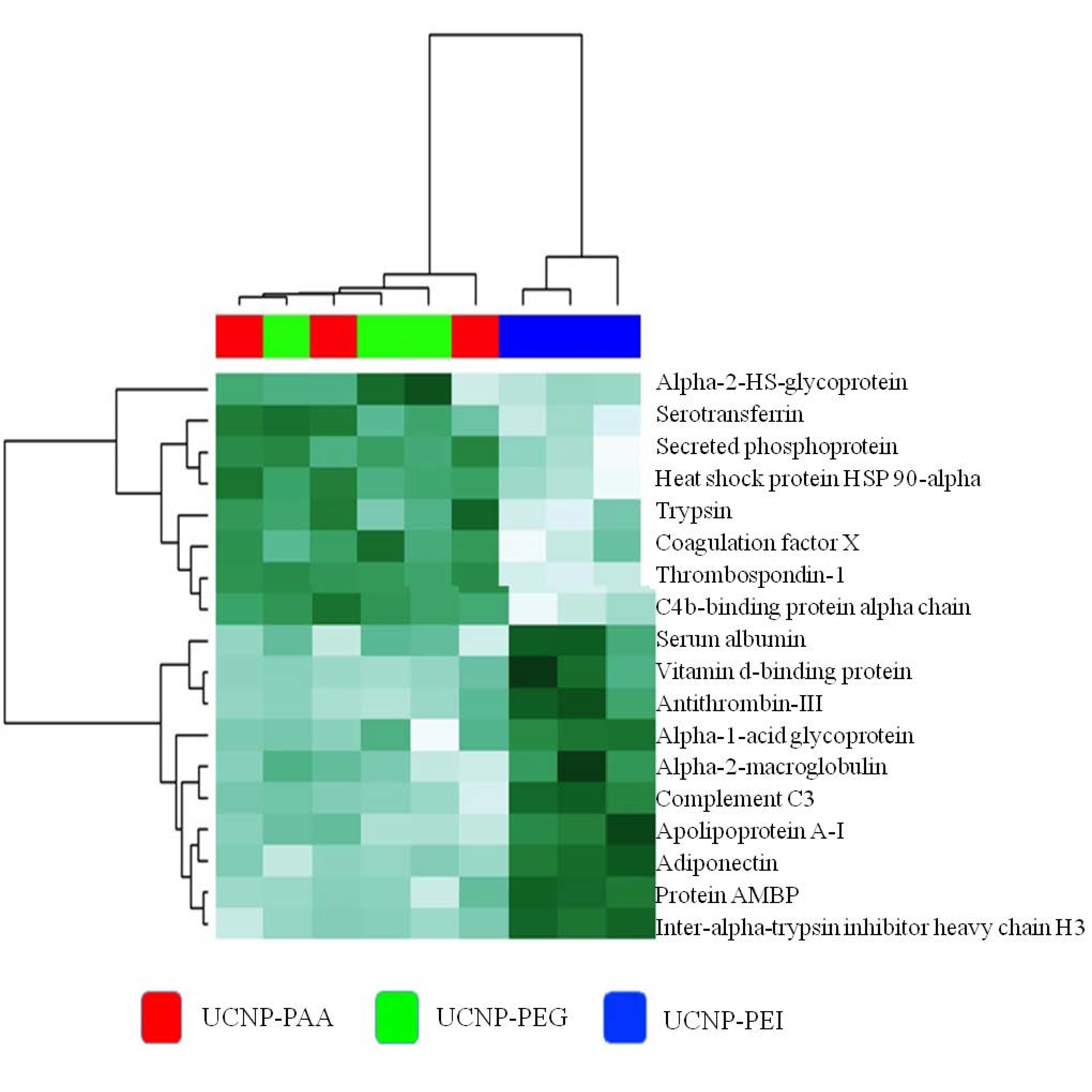 Cells 11 03644 g004 Cells 11 03644 g004