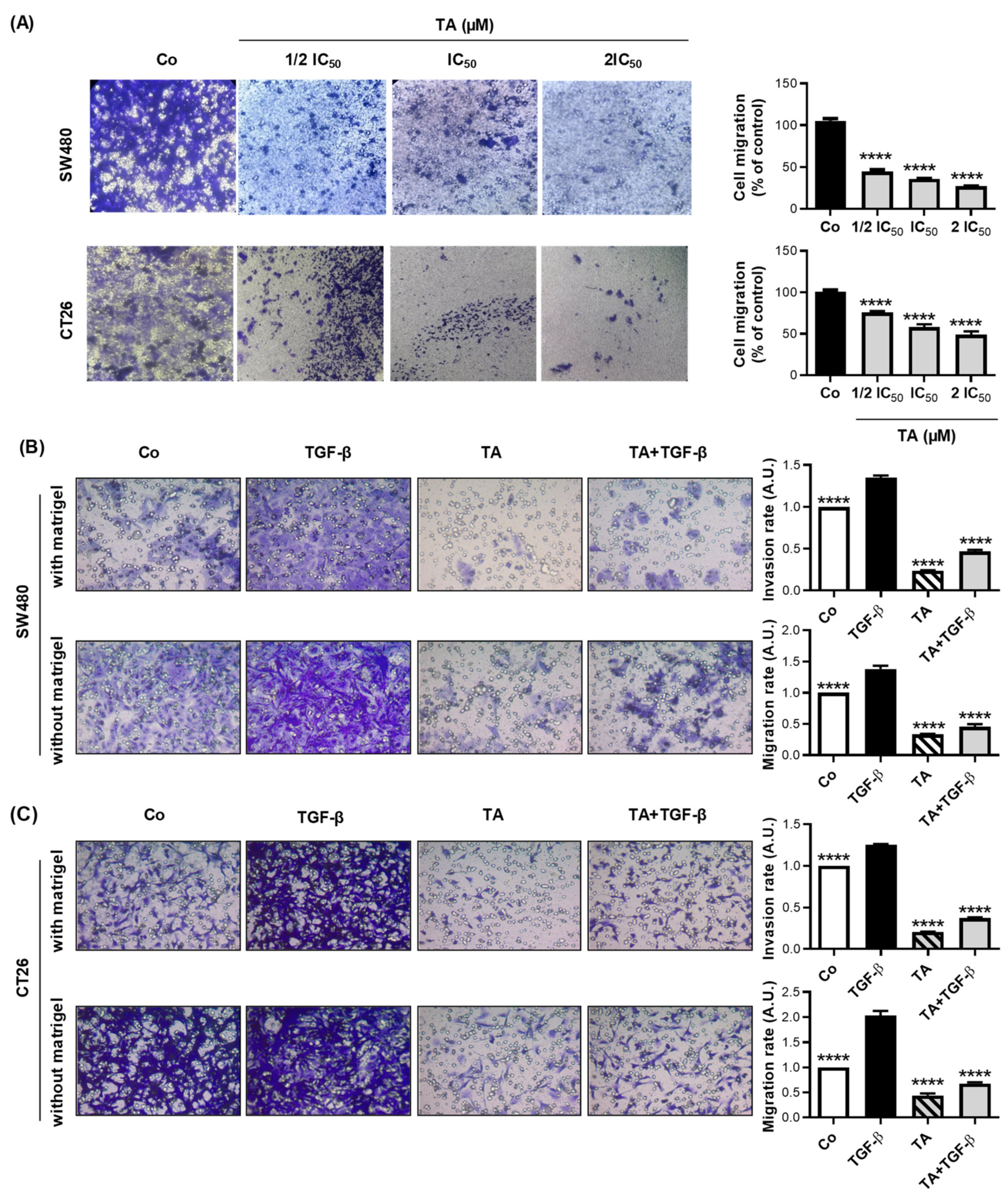 Cells 11 03645 g004 Cells 11 03645 g004