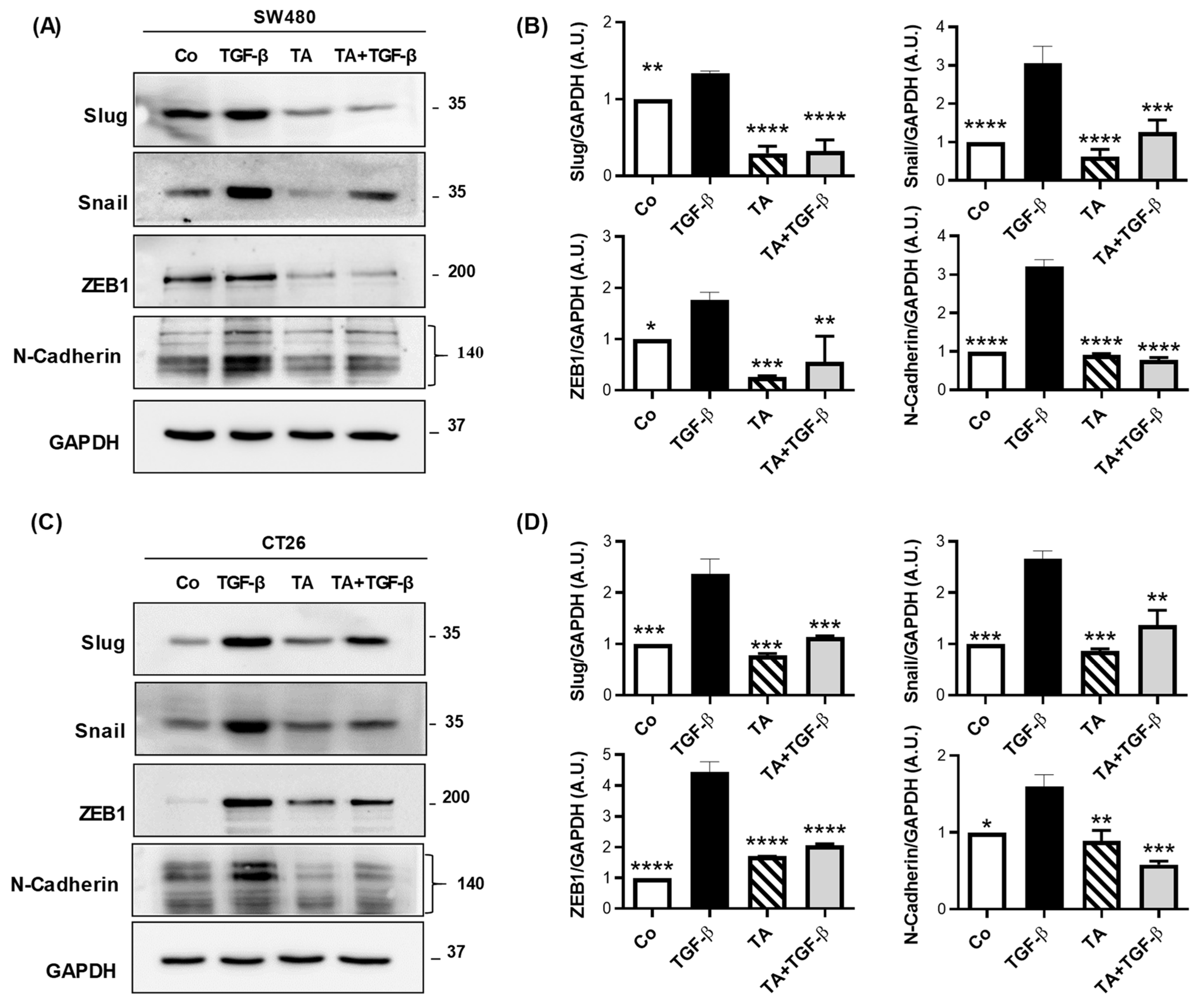 Cells 11 03645 g006 Cells 11 03645 g006