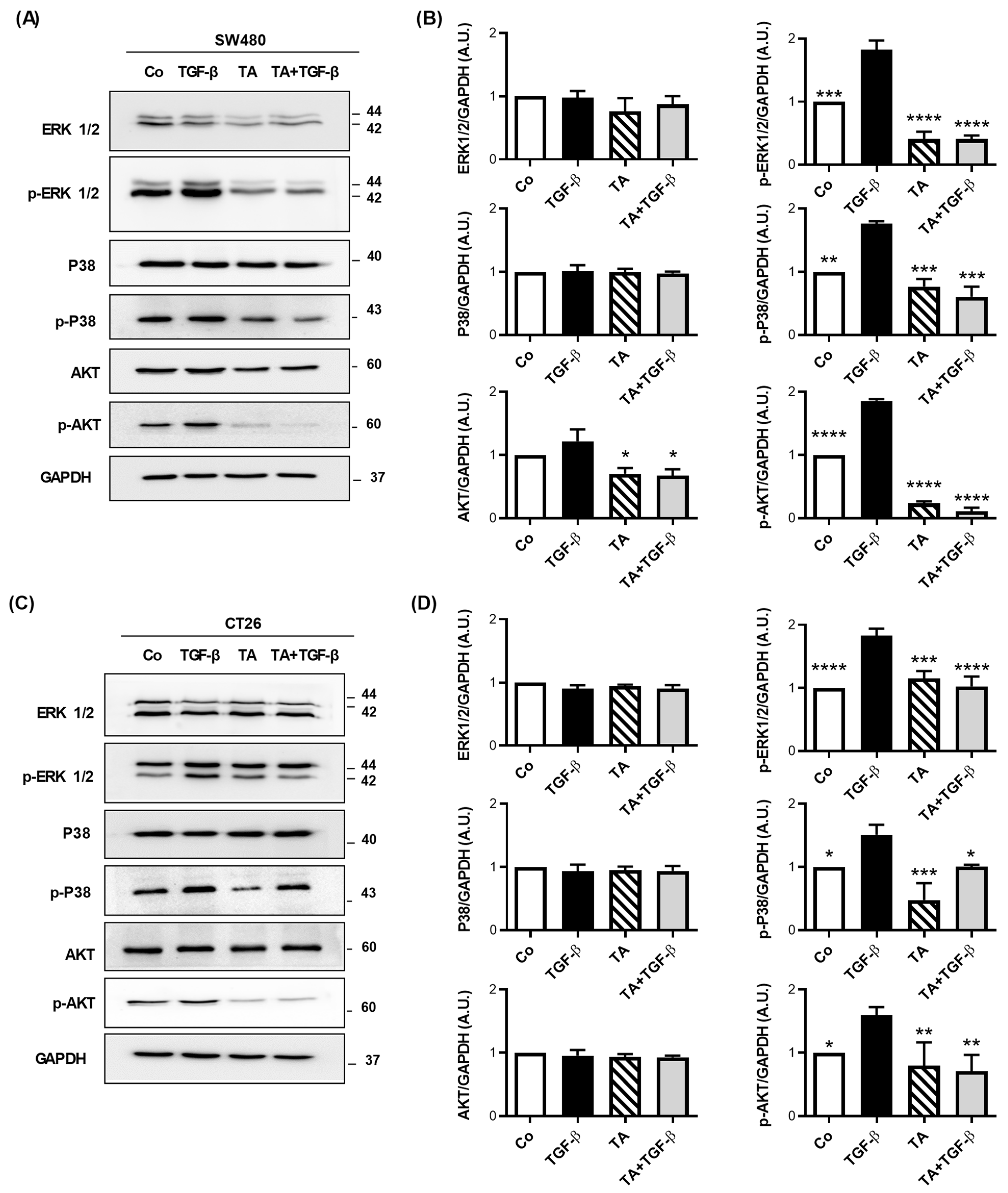 Cells 11 03645 g007 Cells 11 03645 g007