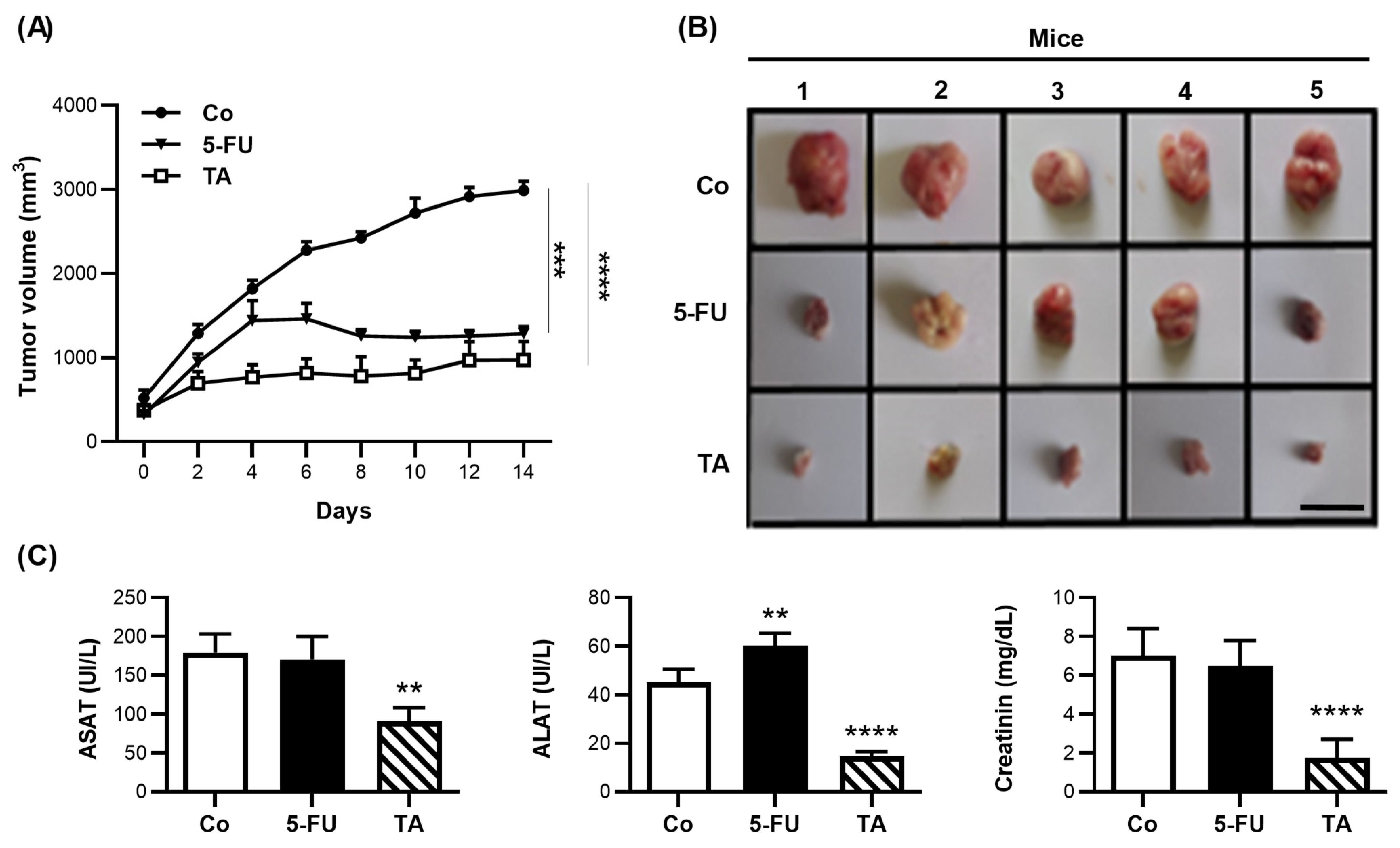 Cells 11 03645 g008 Cells 11 03645 g008