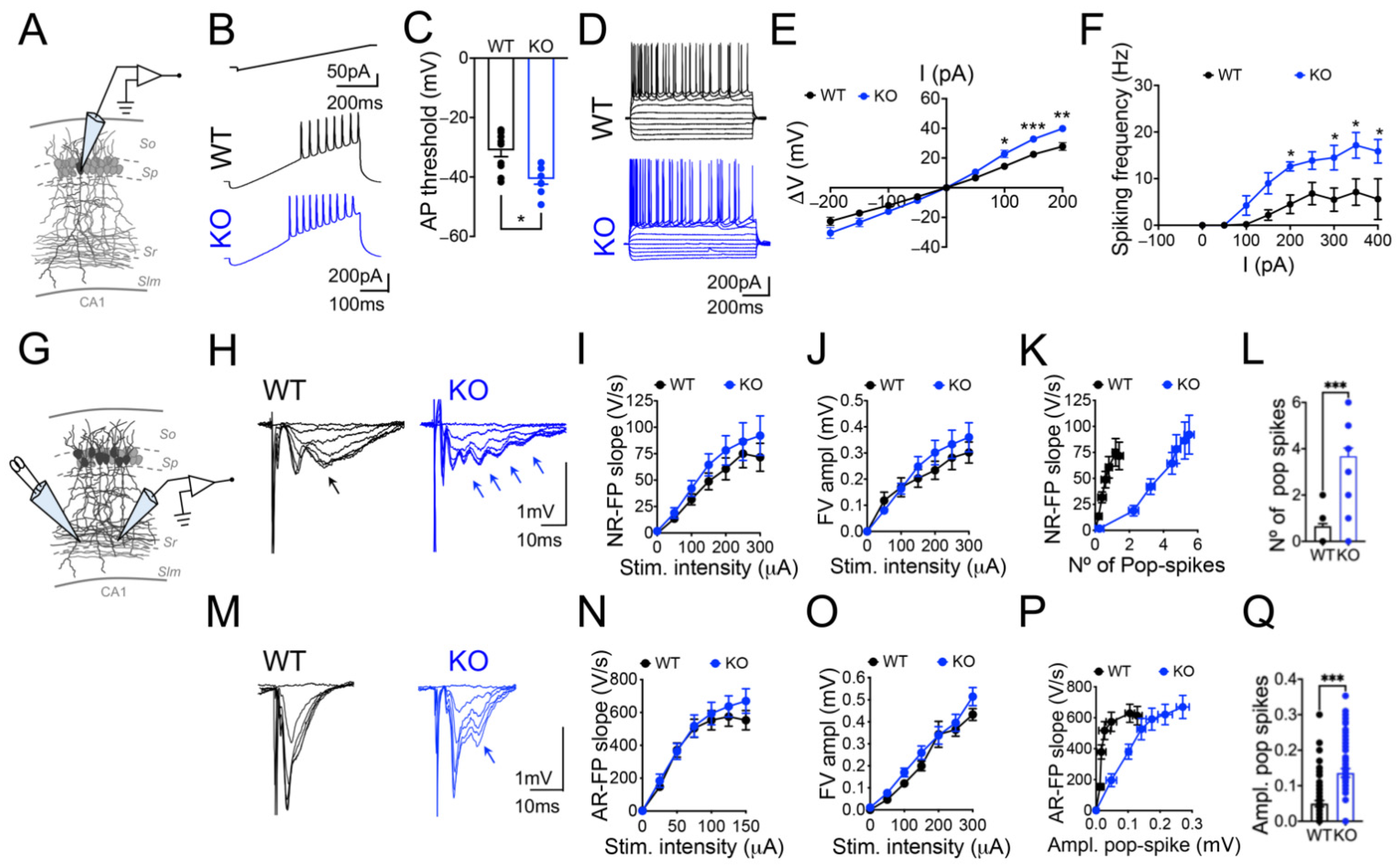 Cells 11 03646 g001 Cells 11 03646 g001