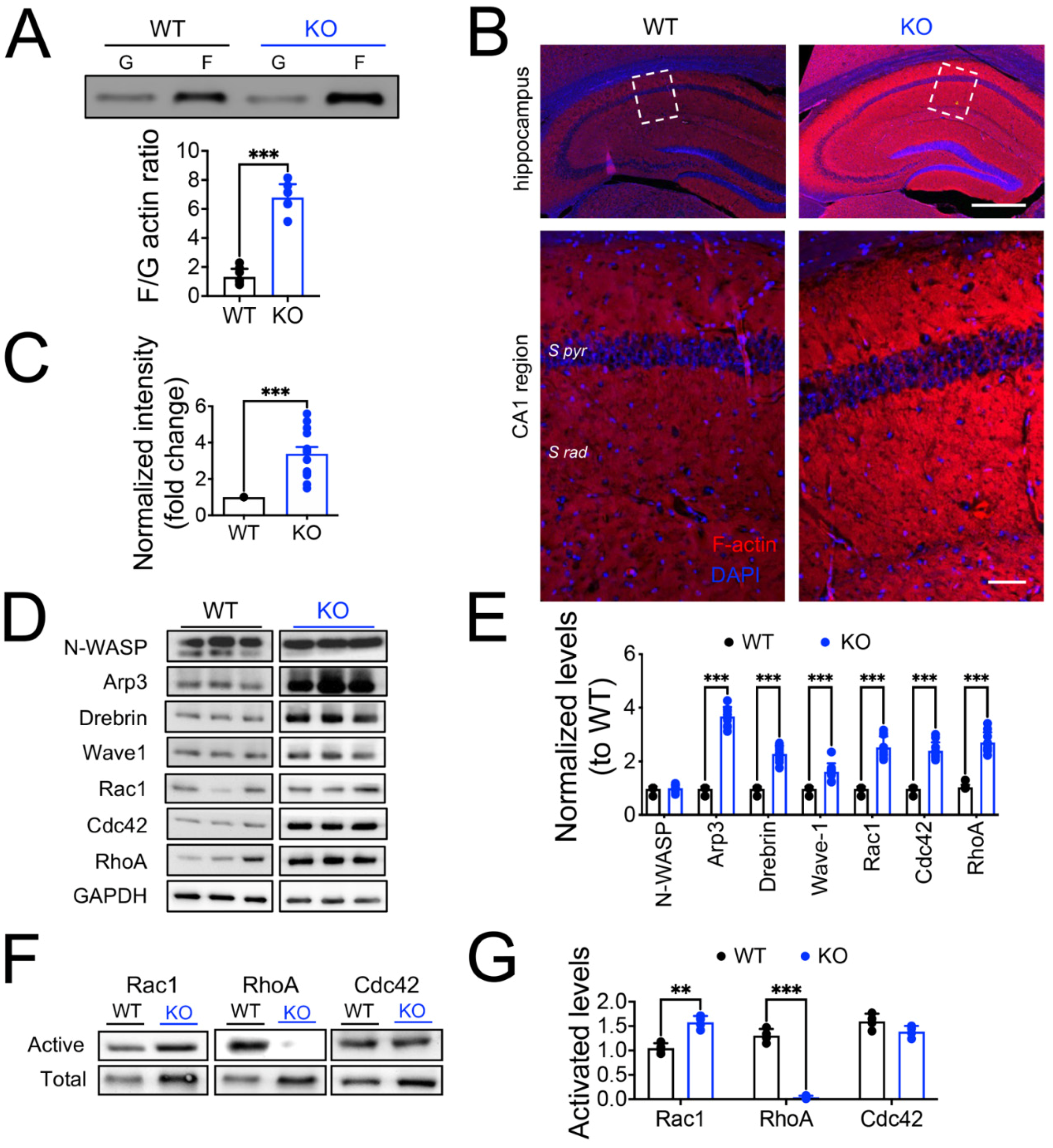 Cells 11 03646 g008 Cells 11 03646 g008