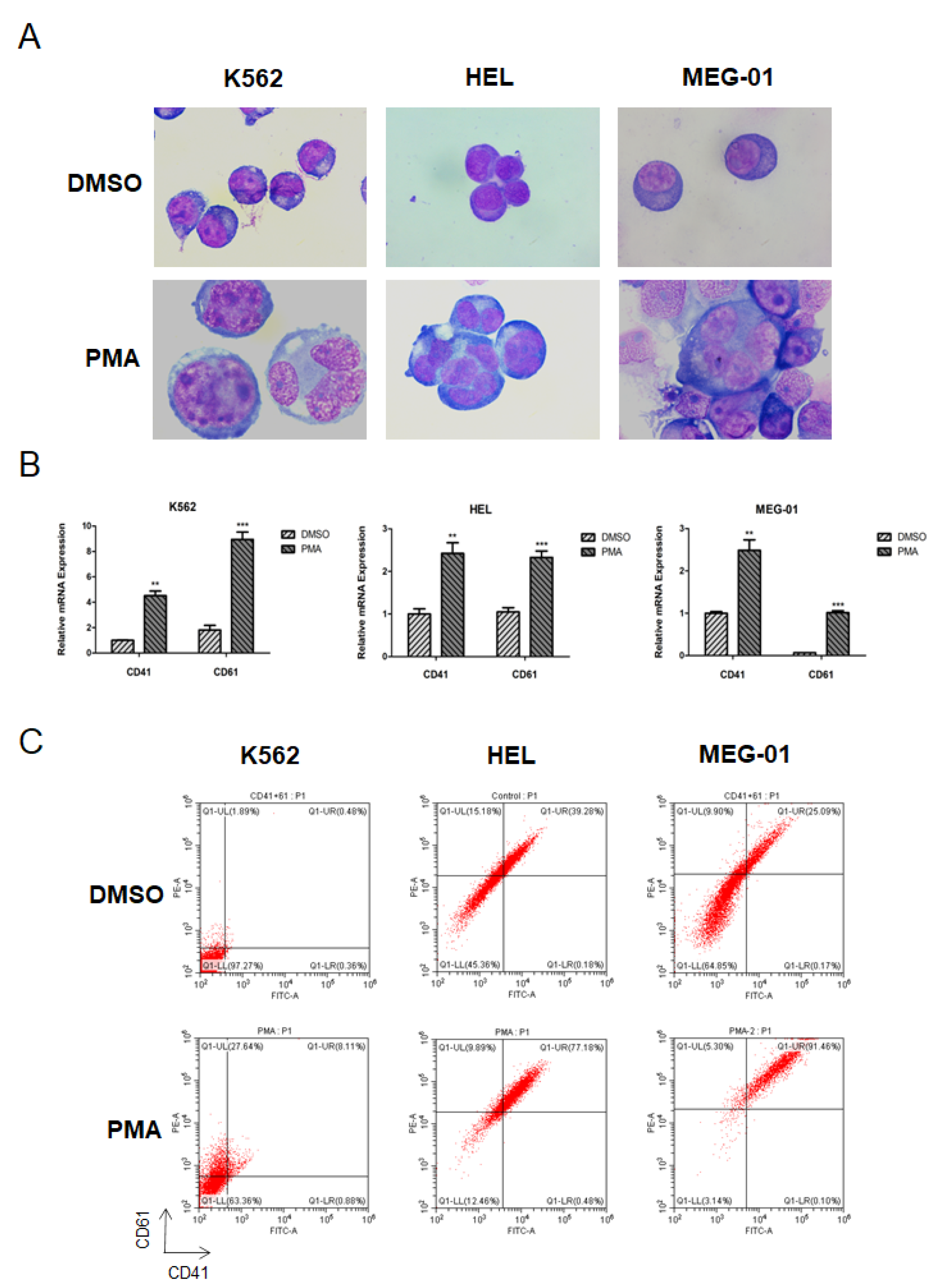 Cells 11 03660 g001 Cells 11 03660 g001