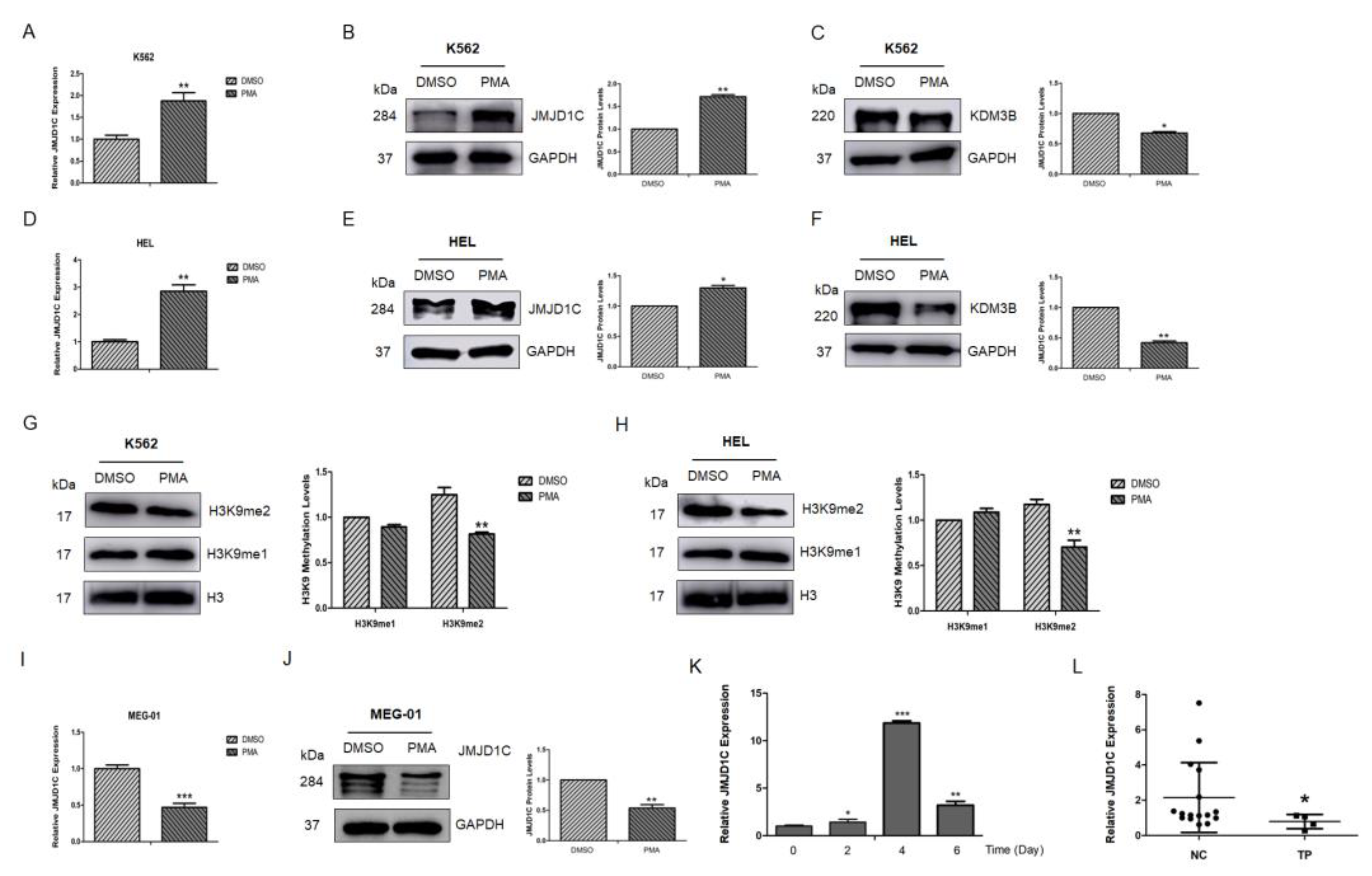 Cells 11 03660 g002 Cells 11 03660 g002