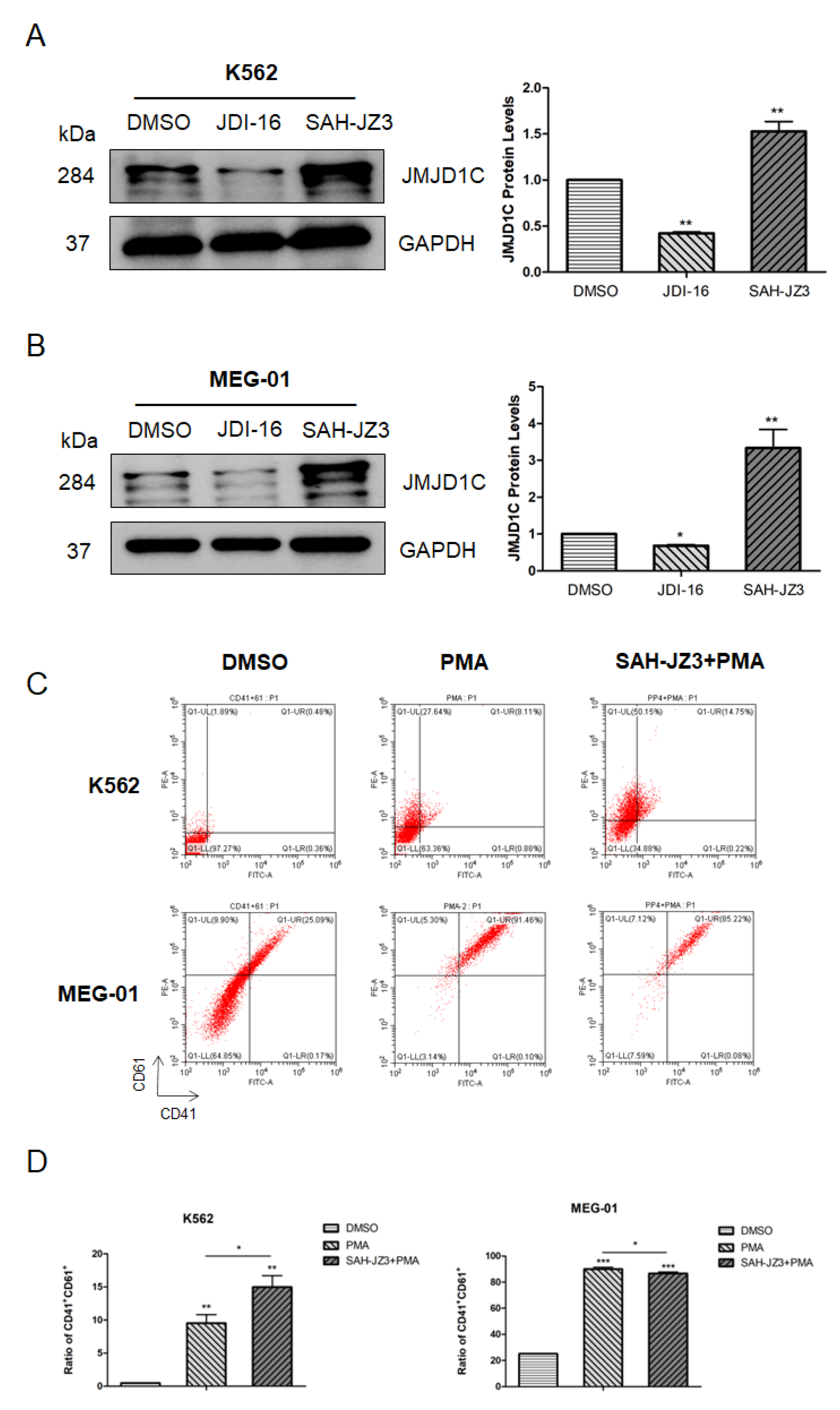 Cells 11 03660 g005 Cells 11 03660 g005