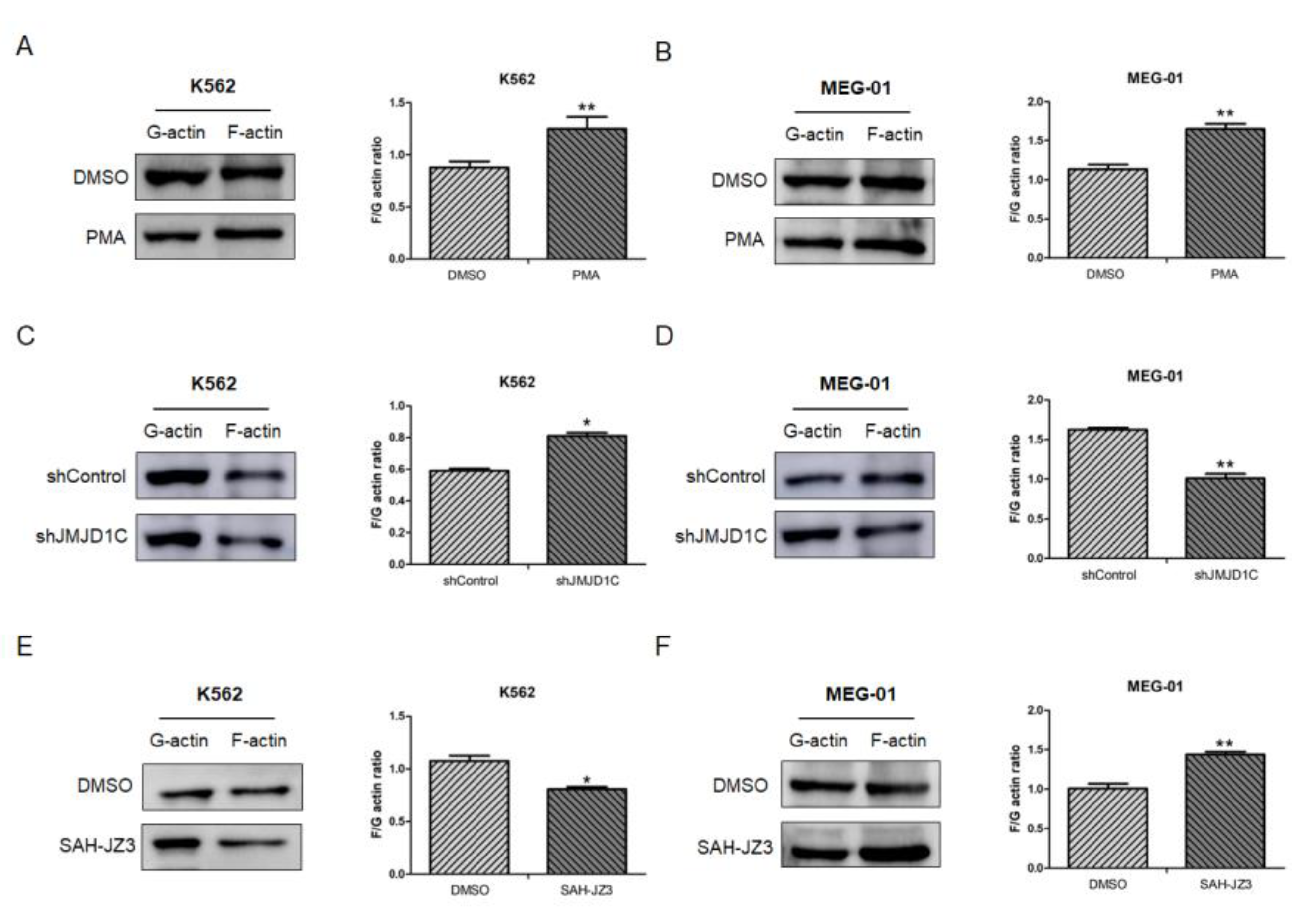 Cells 11 03660 g006 Cells 11 03660 g006