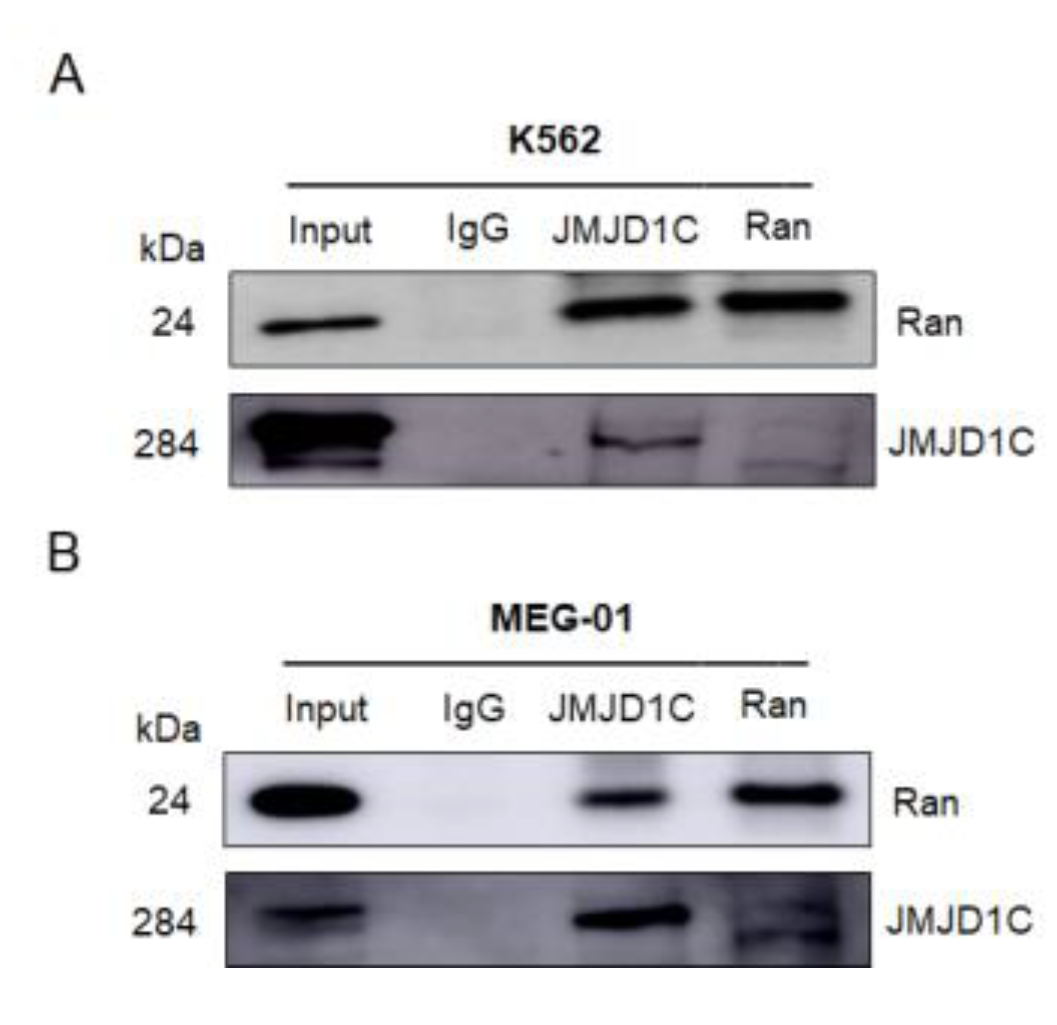 Cells 11 03660 g007 Cells 11 03660 g007