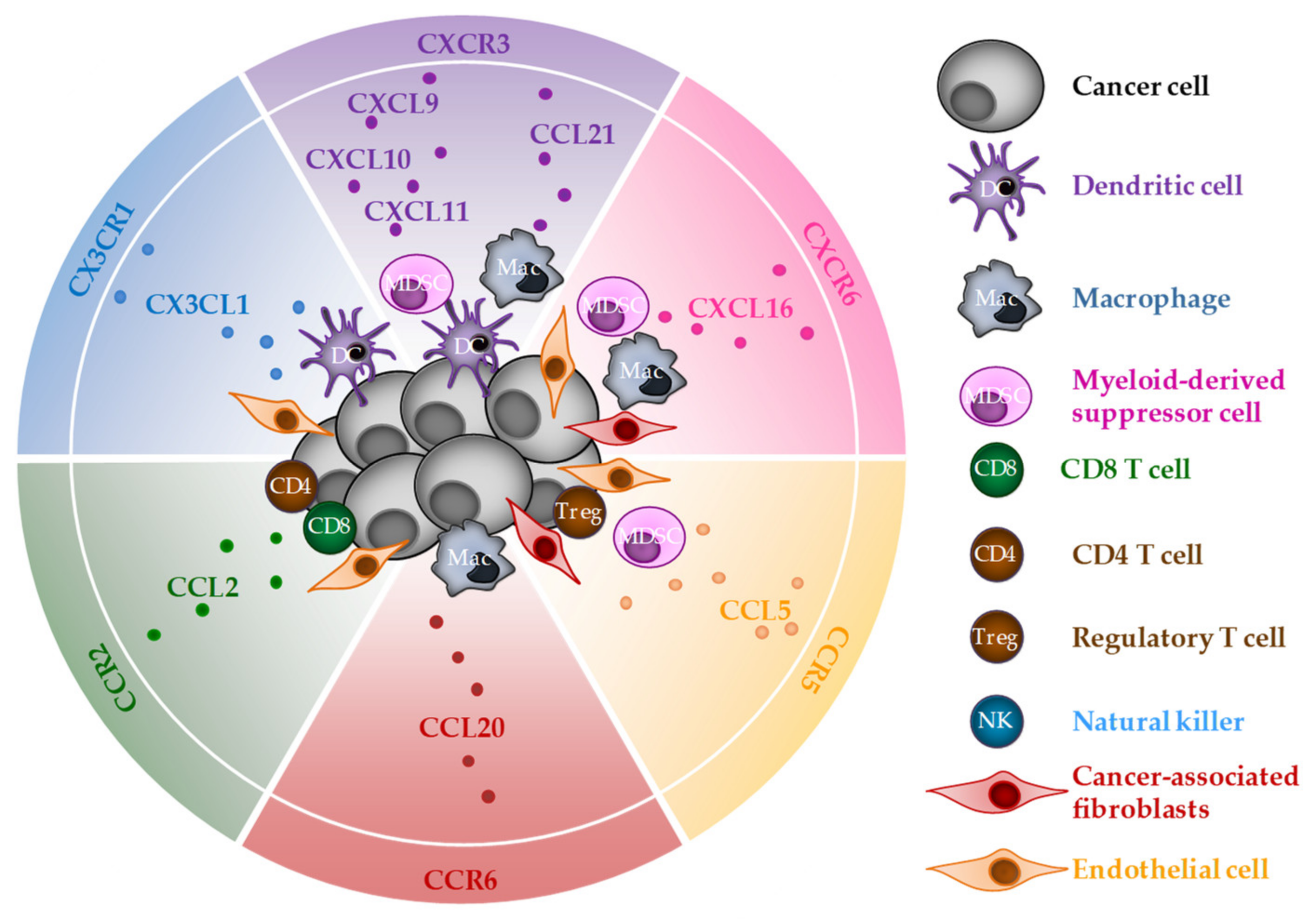 Cells 11 03672 g002 Cells 11 03672 g002