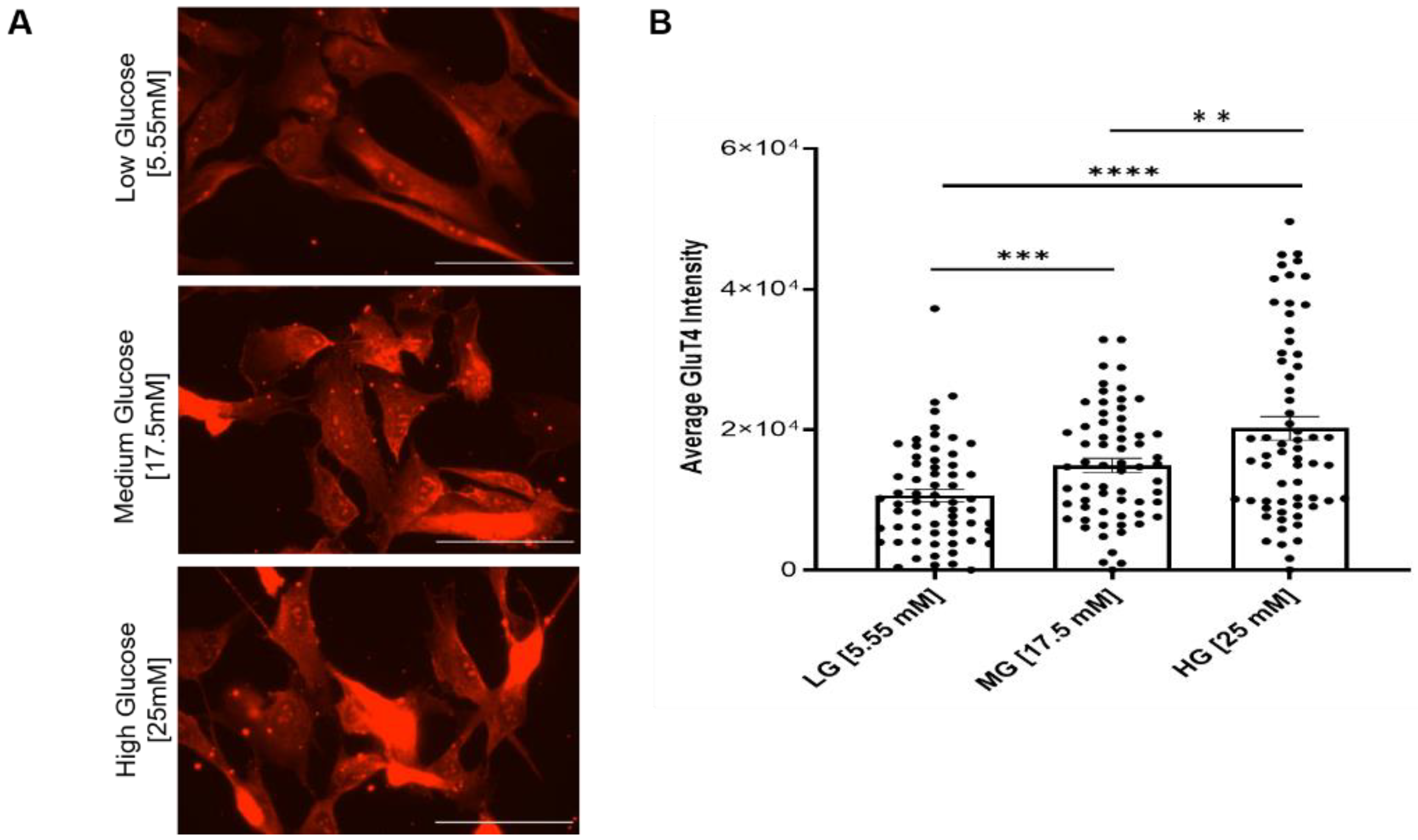 Cells 11 03674 g005 Cells 11 03674 g005
