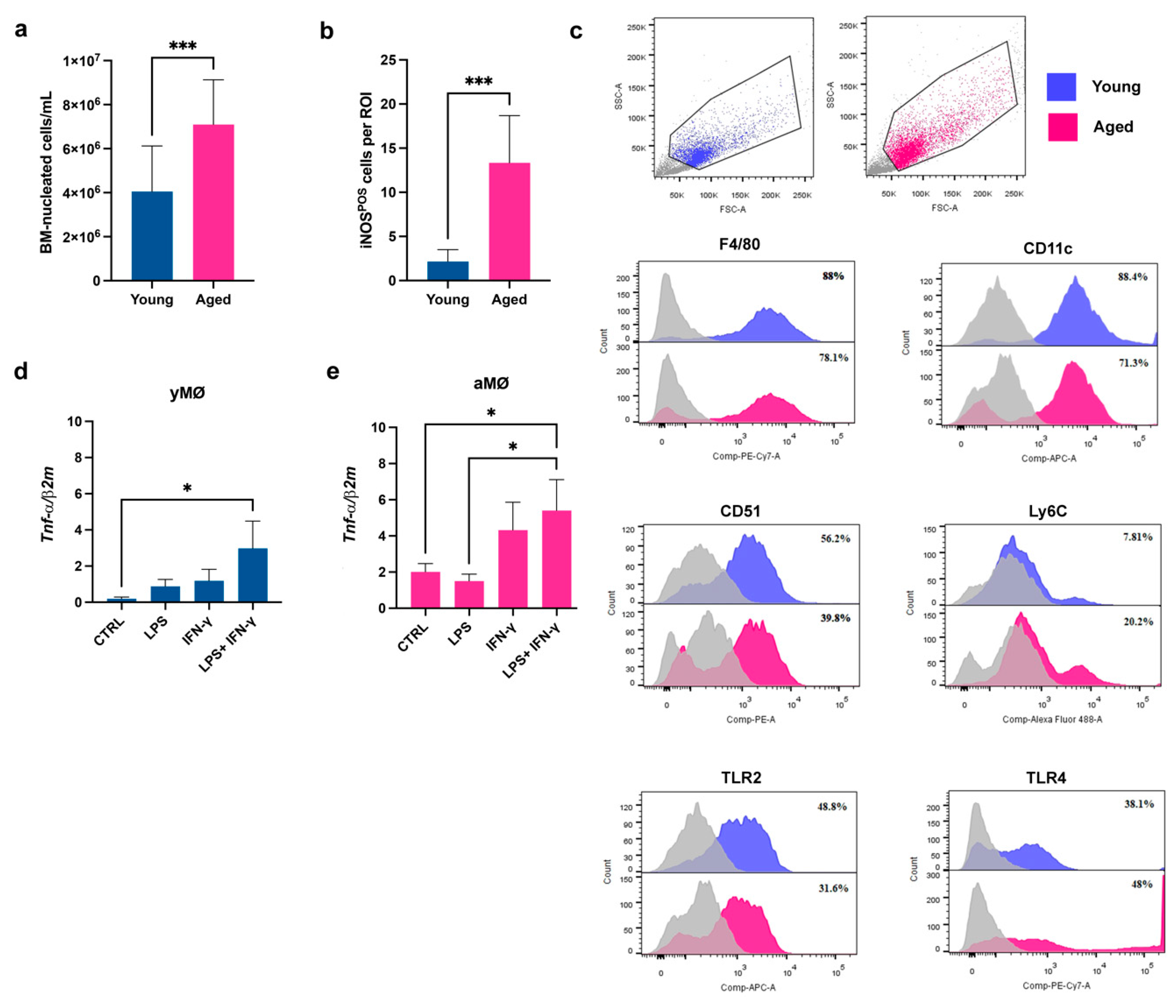 Cells 11 03695 g001 Cells 11 03695 g001