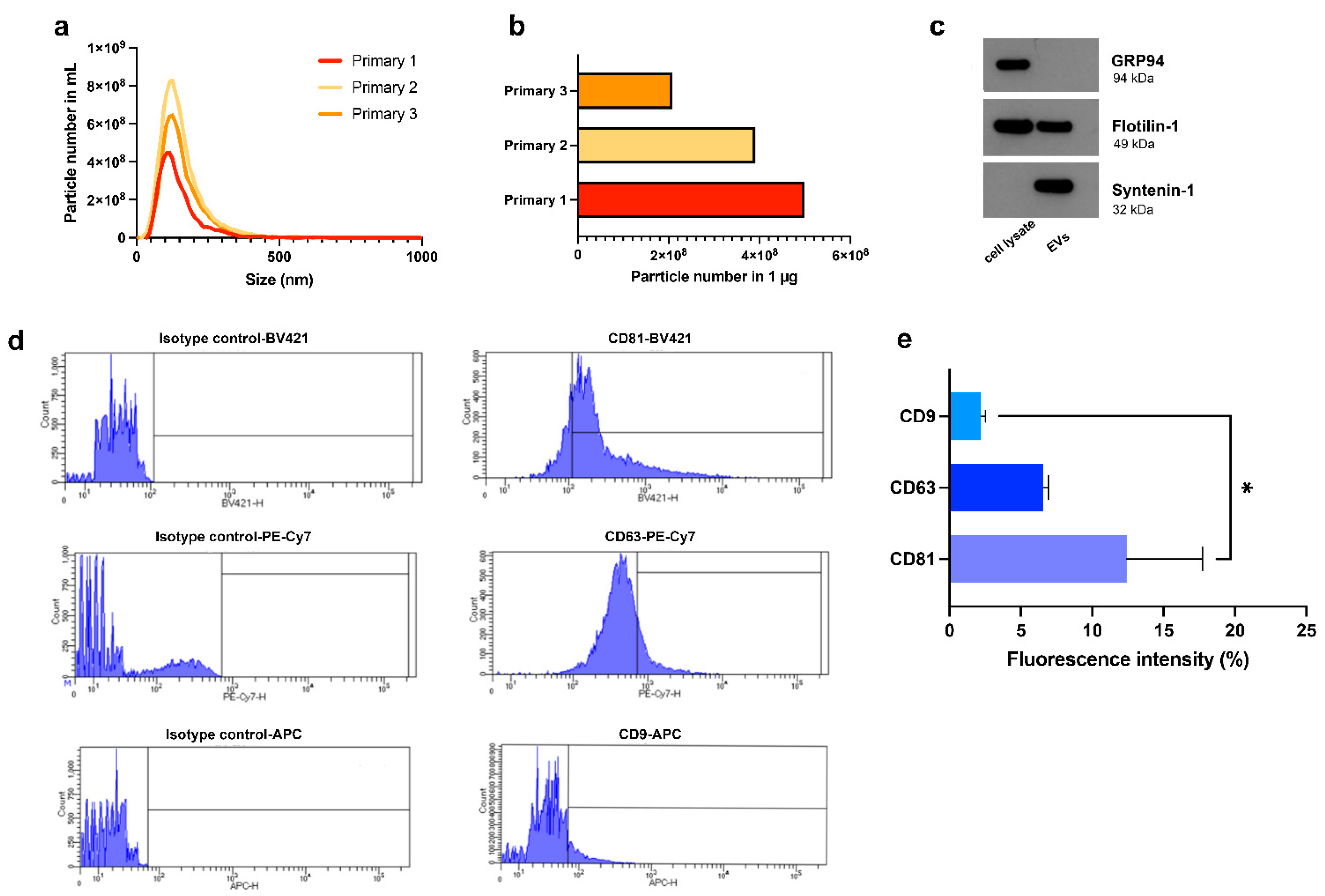 Cells 11 03695 g003 Cells 11 03695 g003