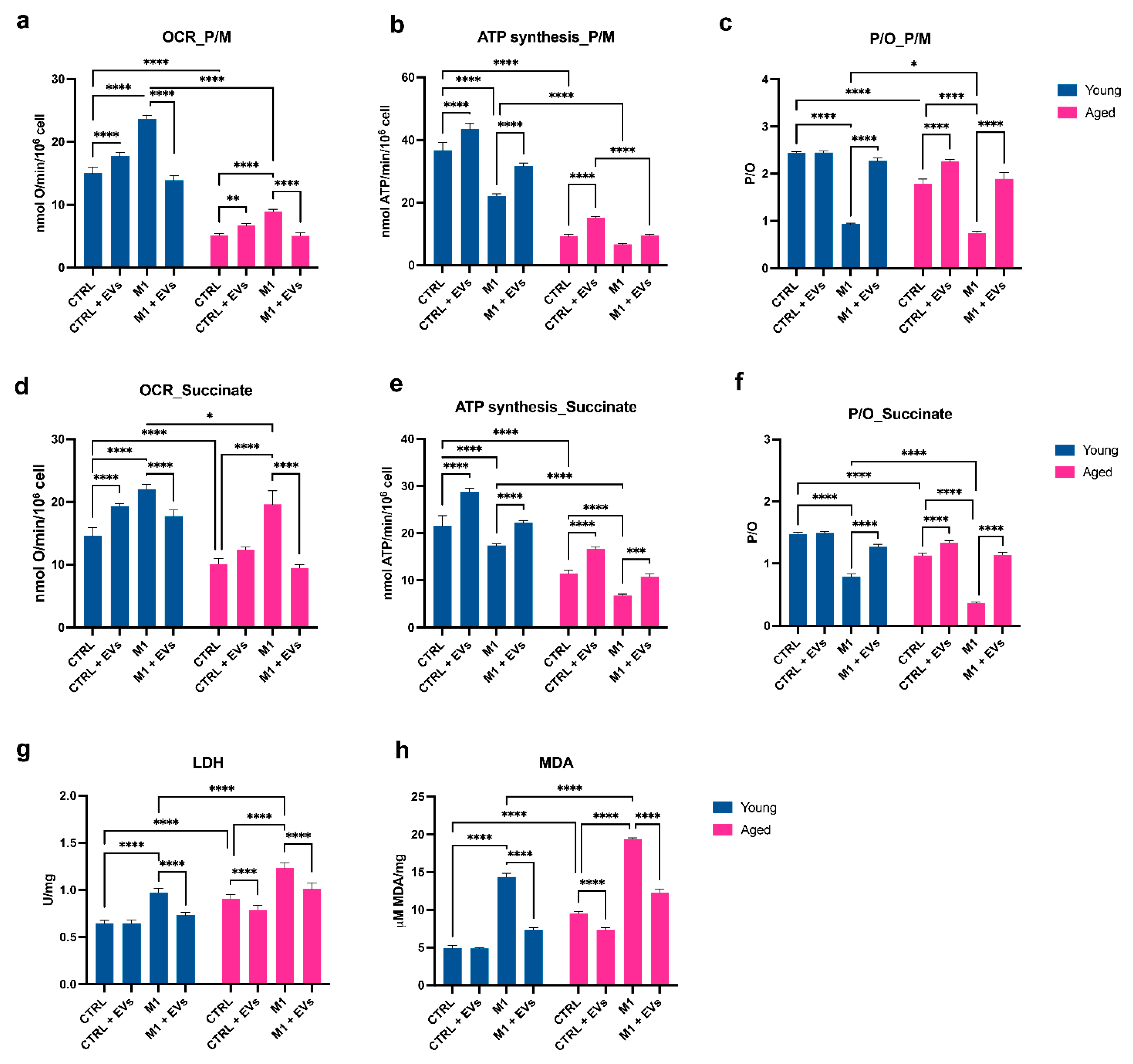 Cells 11 03695 g005 Cells 11 03695 g005