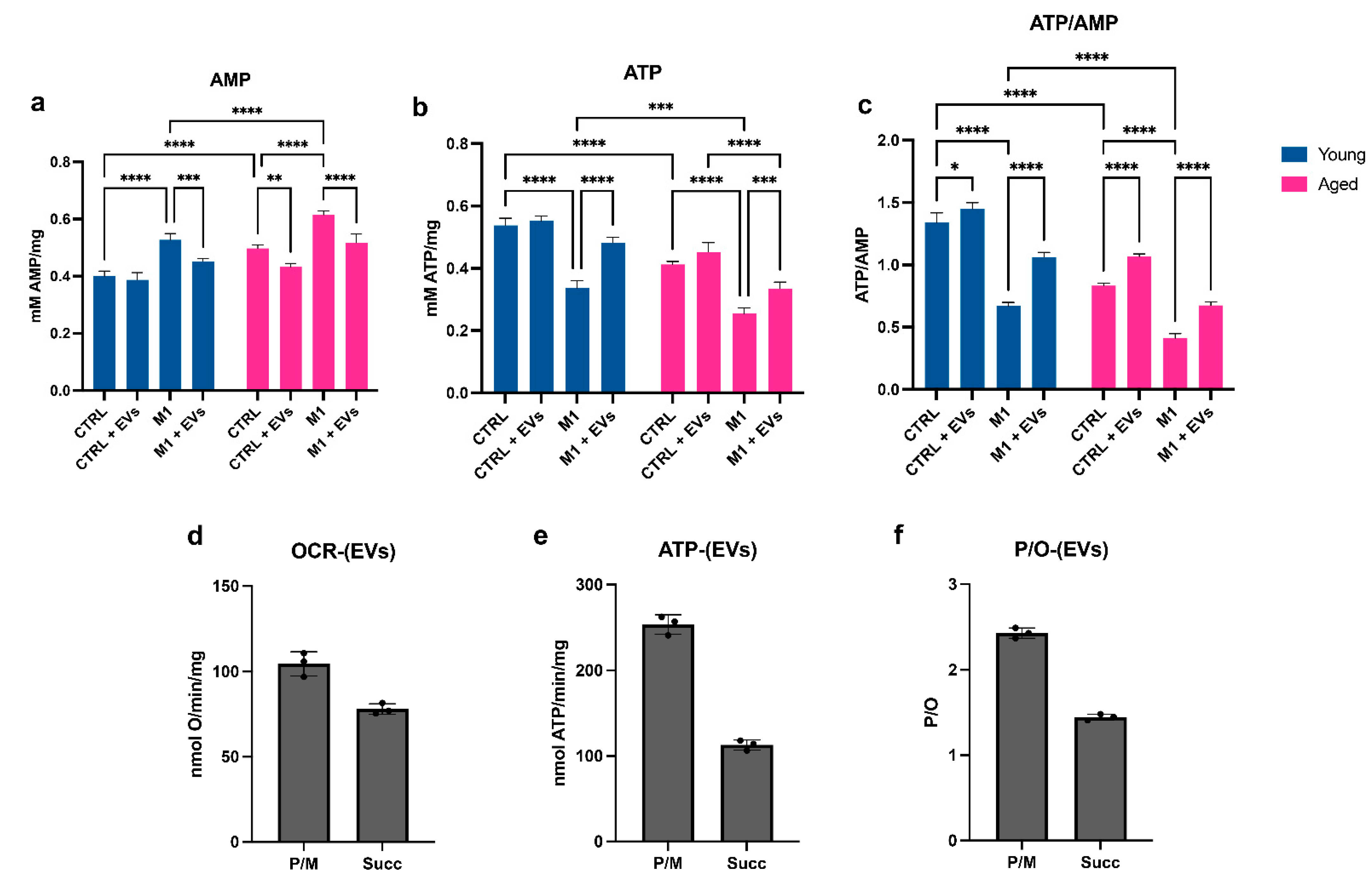 Cells 11 03695 g006 Cells 11 03695 g006