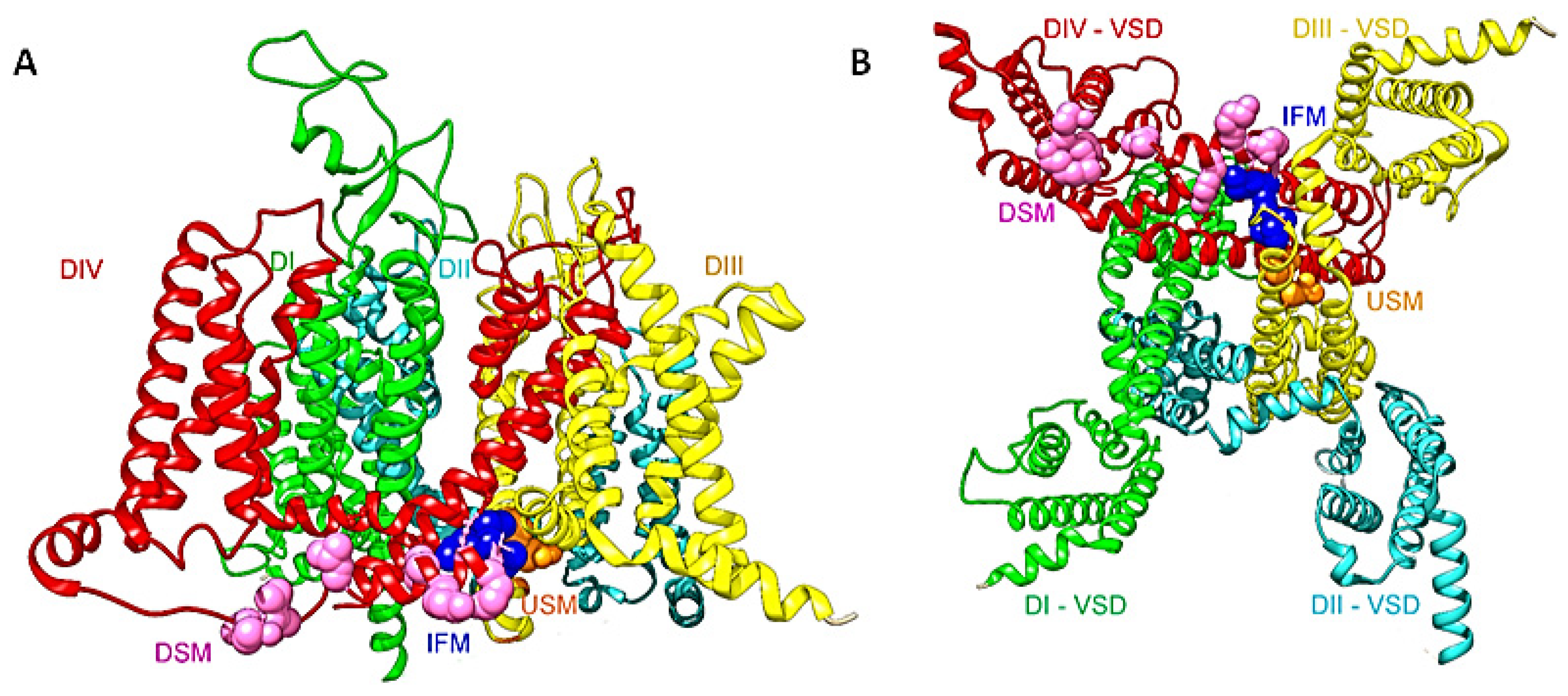 Cells 11 03714 g001 Cells 11 03714 g001
