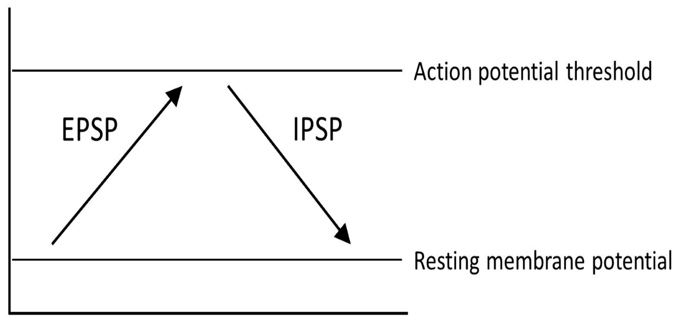 Cells 11 03736 g004 Cells 11 03736 g004