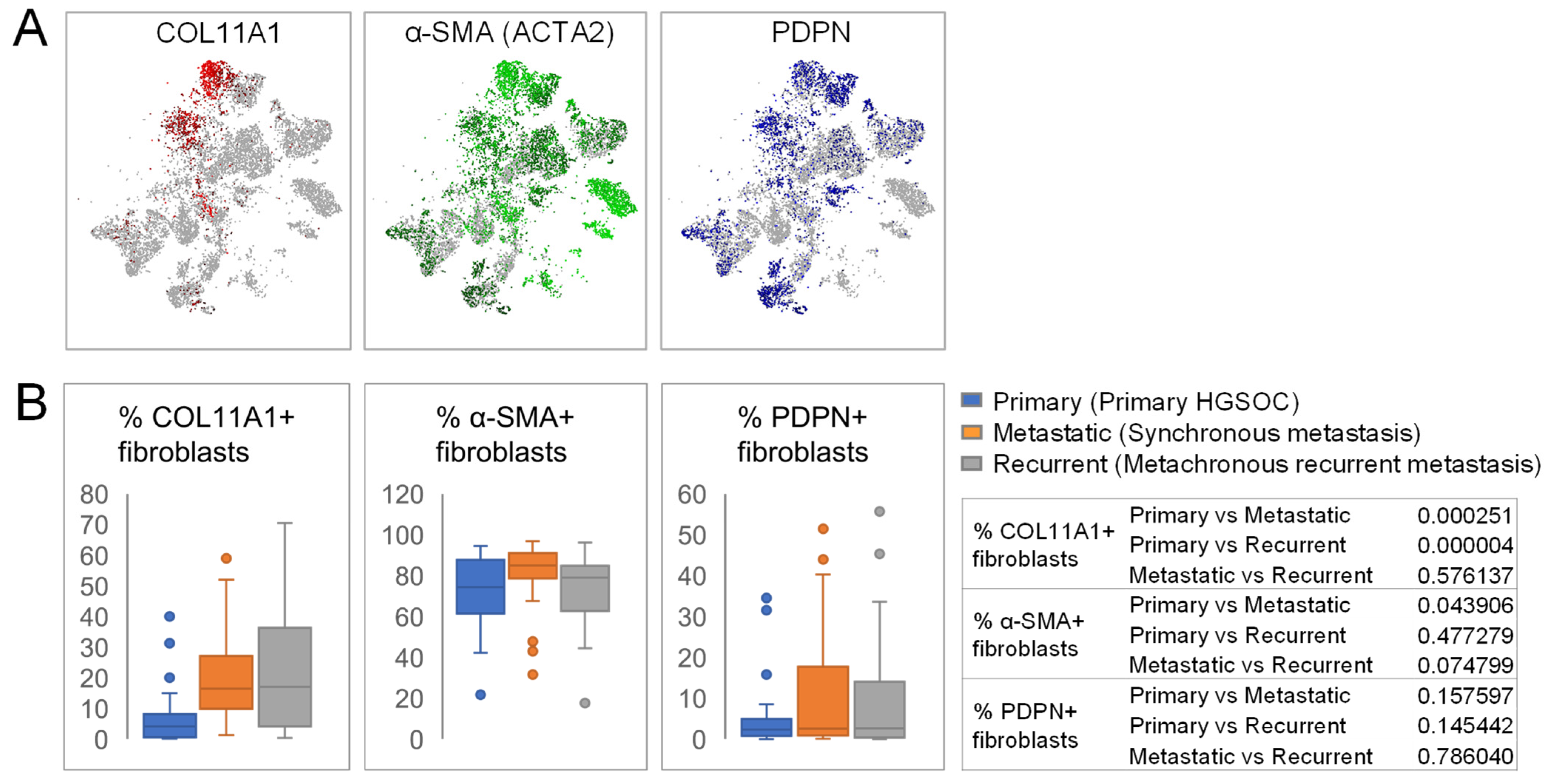 Cells 11 03769 g003 Cells 11 03769 g003
