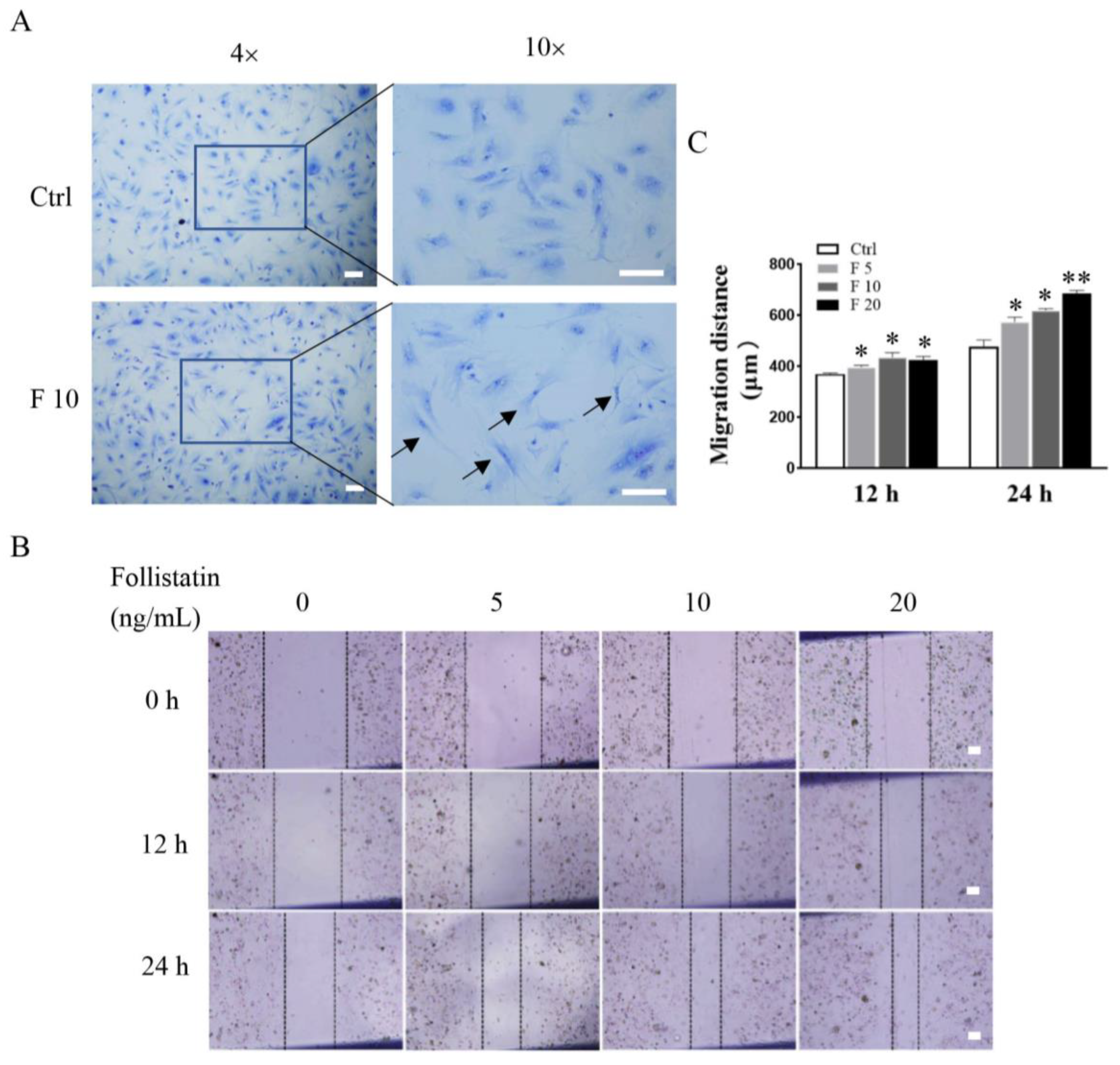 Cells 11 03816 g003 Cells 11 03816 g003