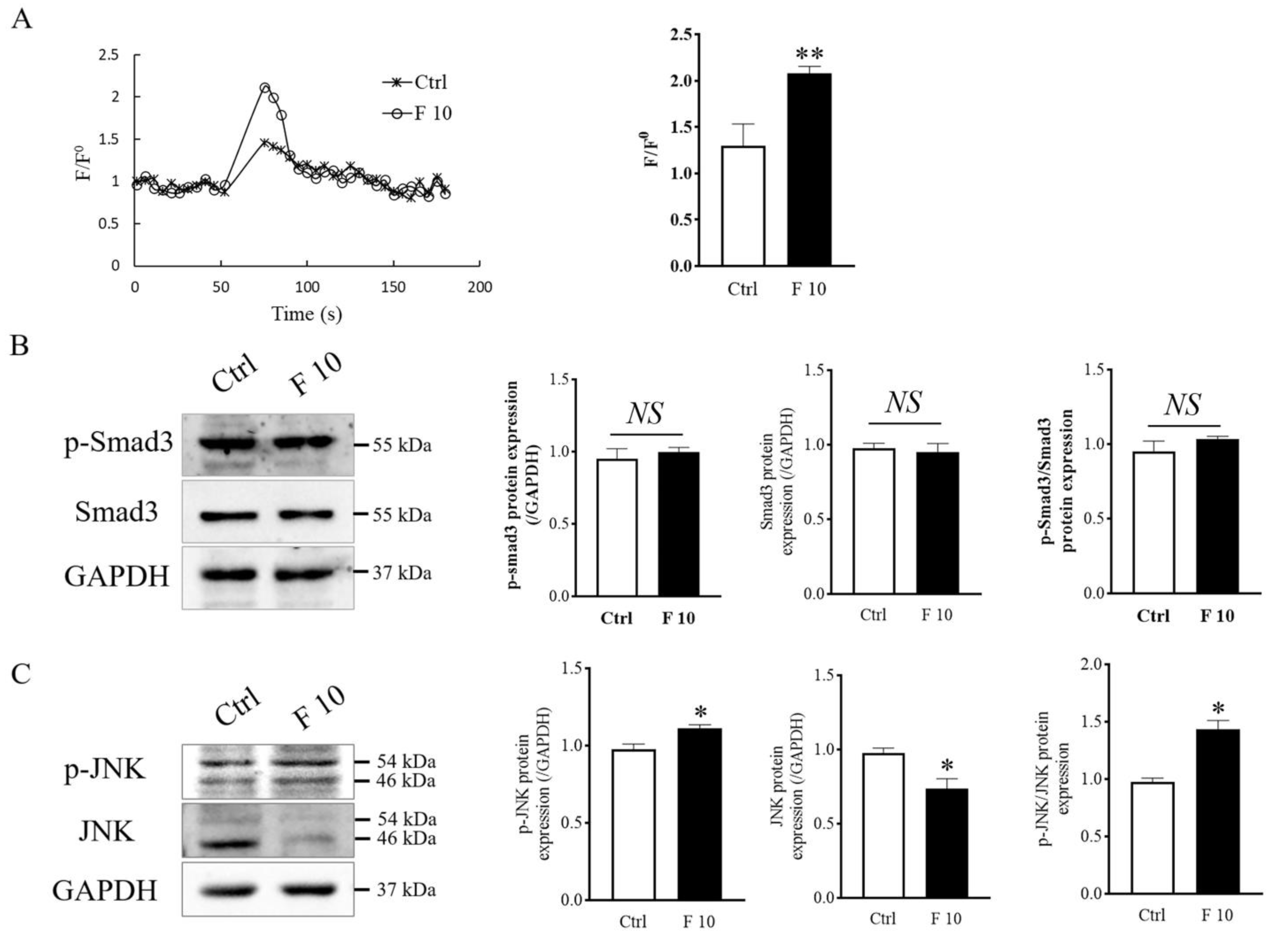 Cells 11 03816 g007 Cells 11 03816 g007