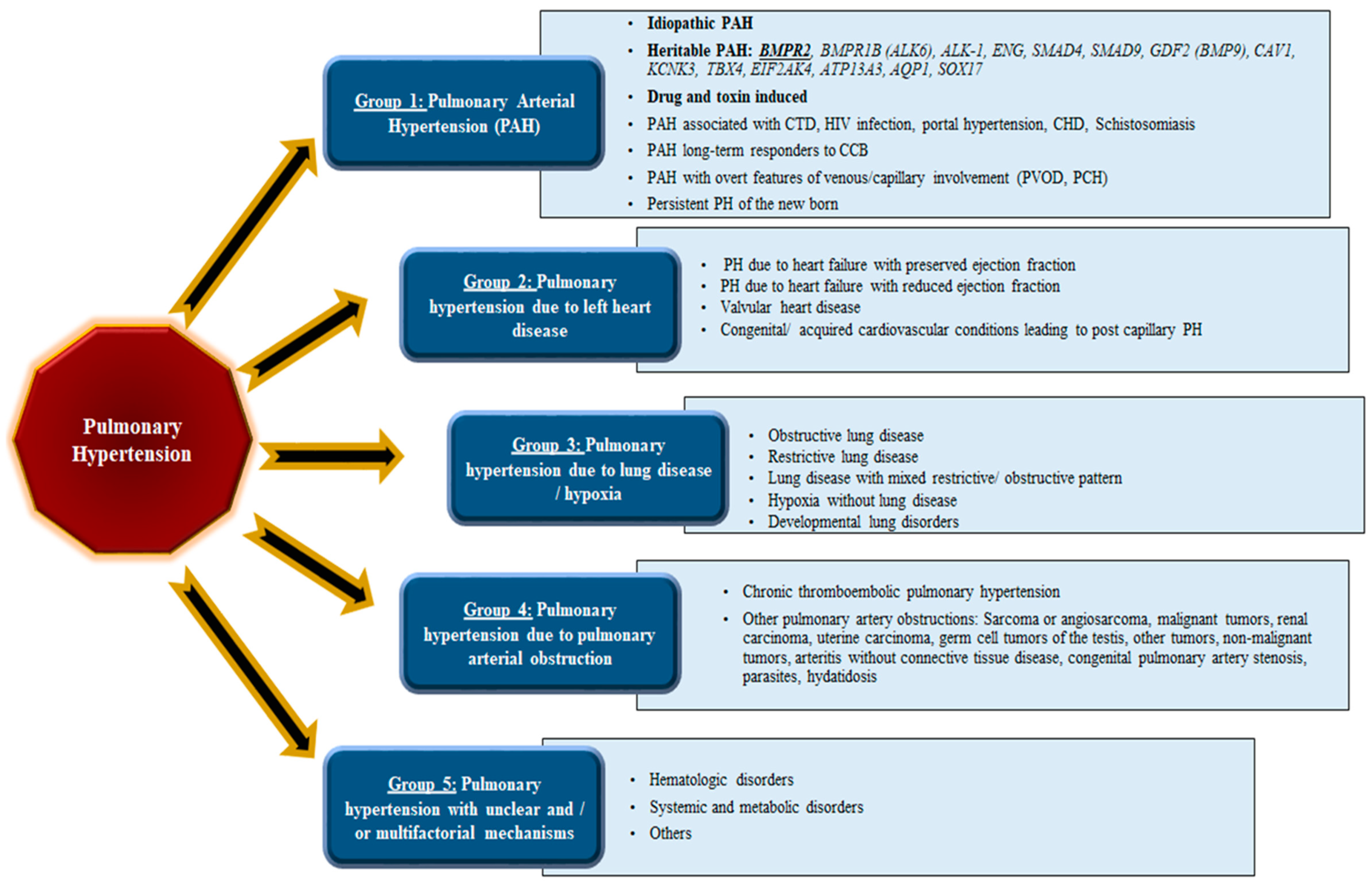 Cells 11 03823 g001 Cells 11 03823 g001