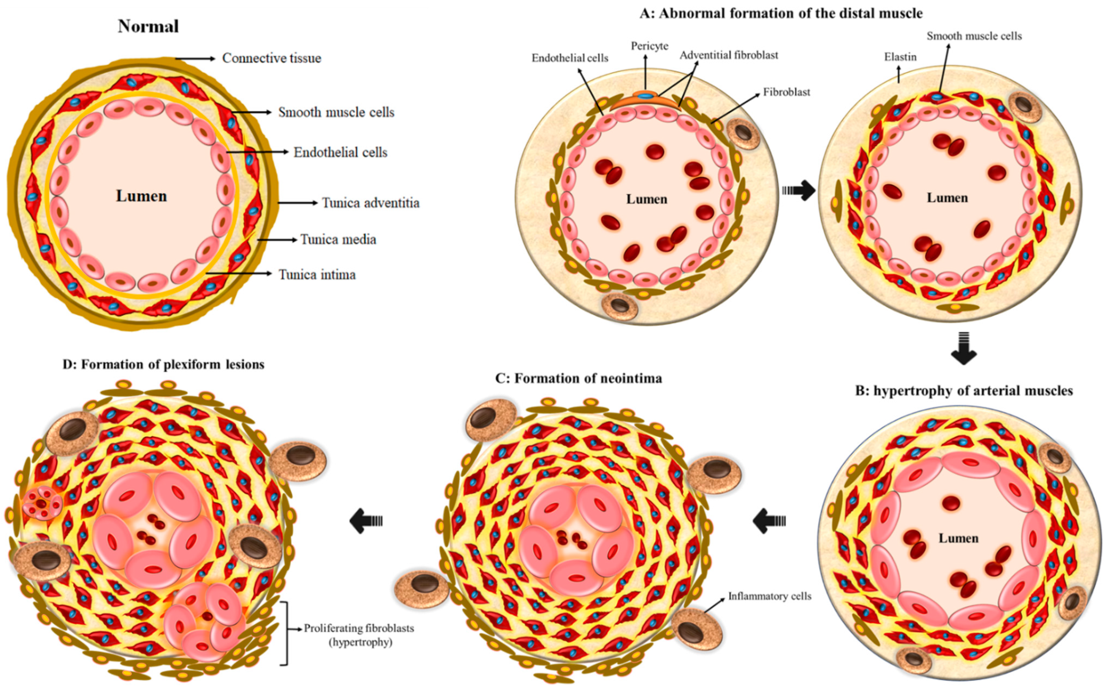 Cells 11 03823 g002 Cells 11 03823 g002