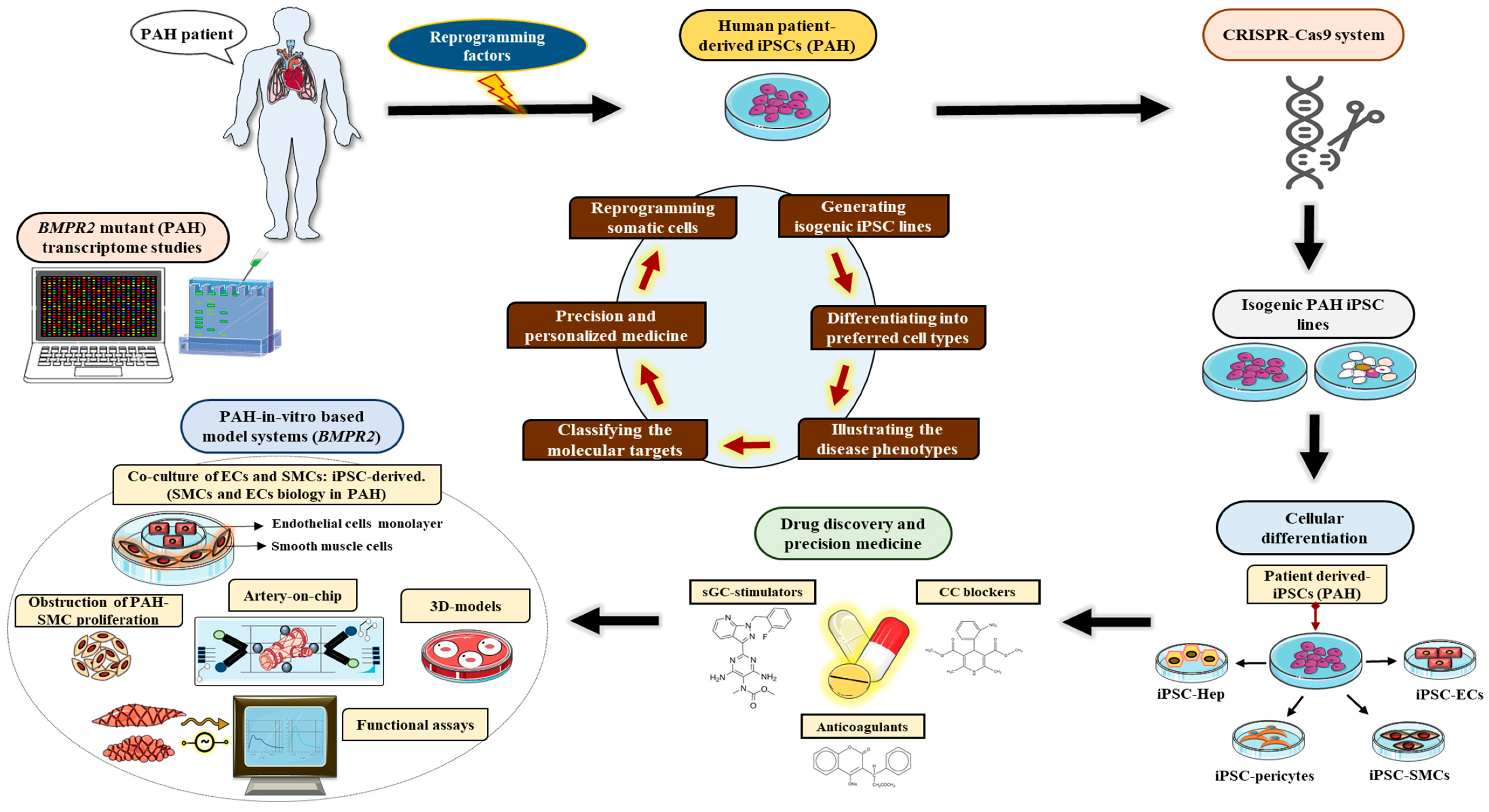 Cells 11 03823 g006 Cells 11 03823 g006