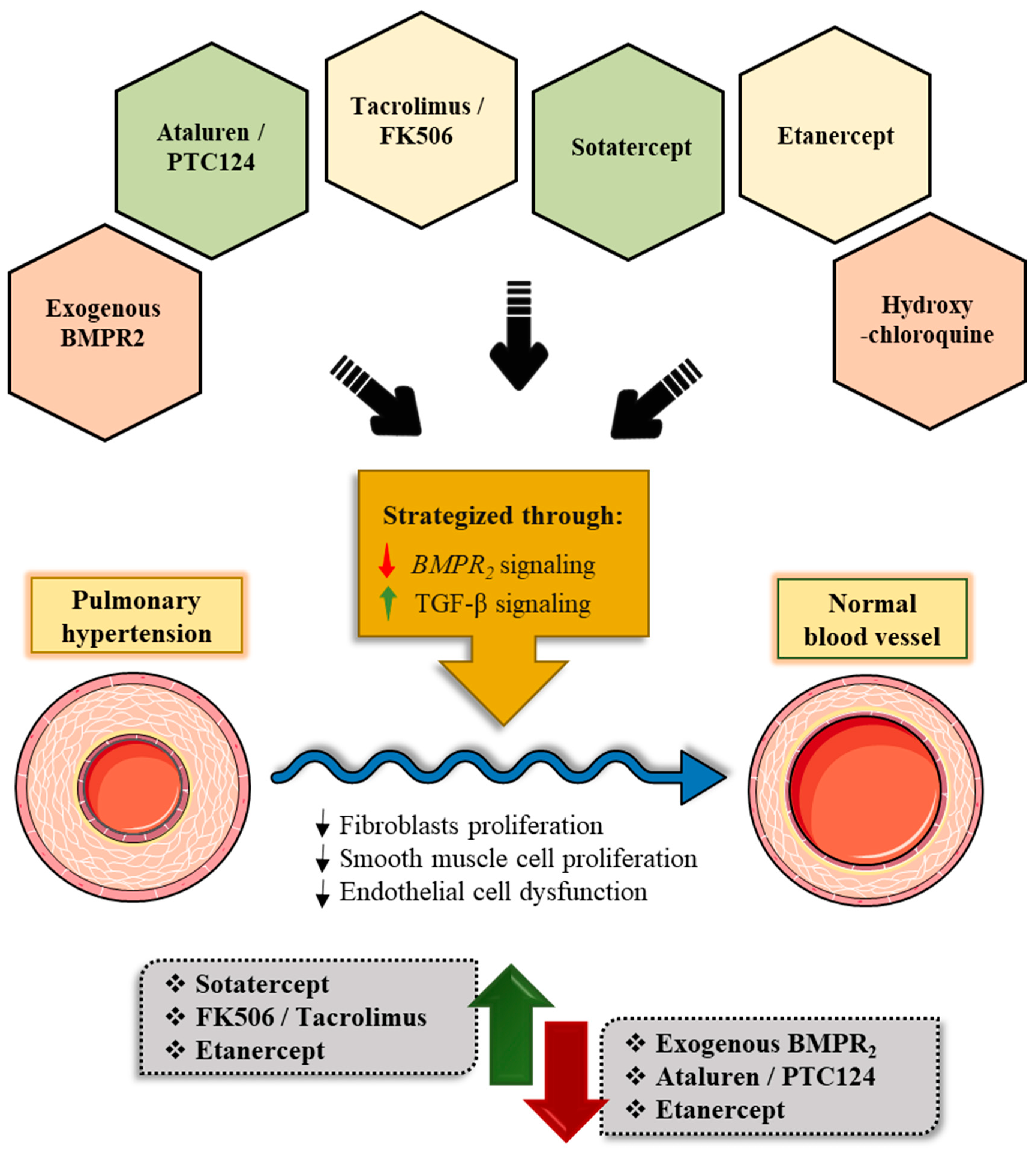 Cells 11 03823 g008 Cells 11 03823 g008