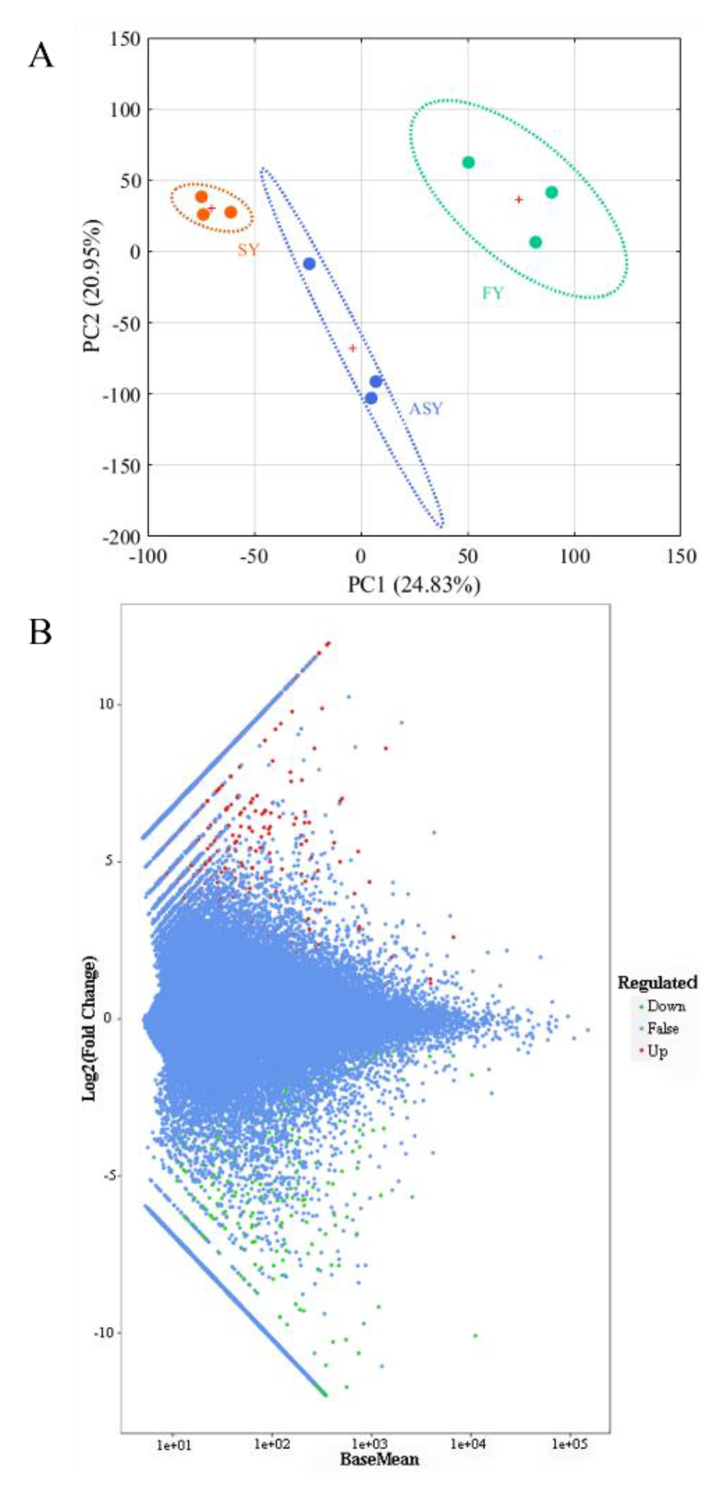 Cells 11 03844 g007 Cells 11 03844 g007