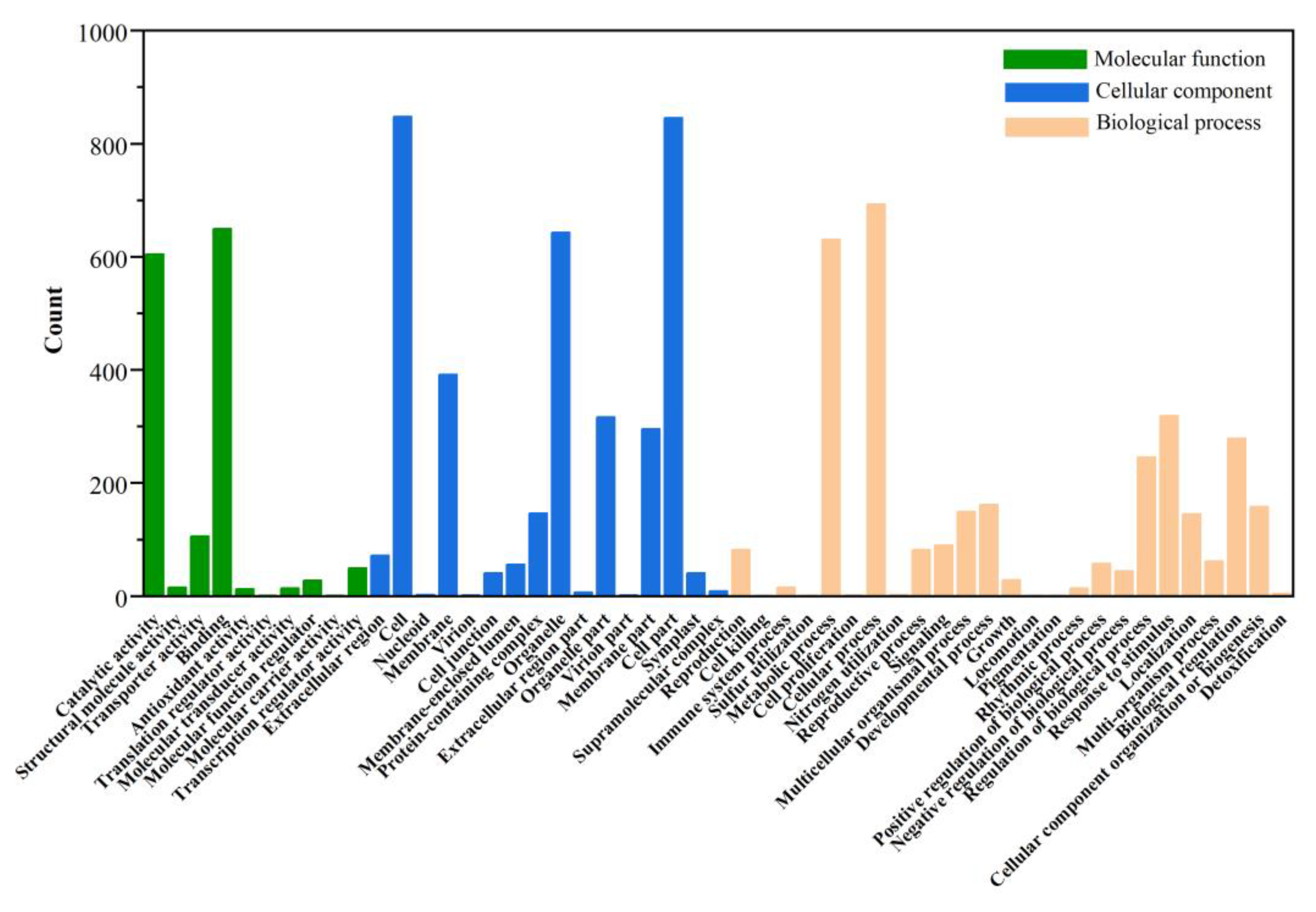 Cells 11 03844 g010 Cells 11 03844 g010