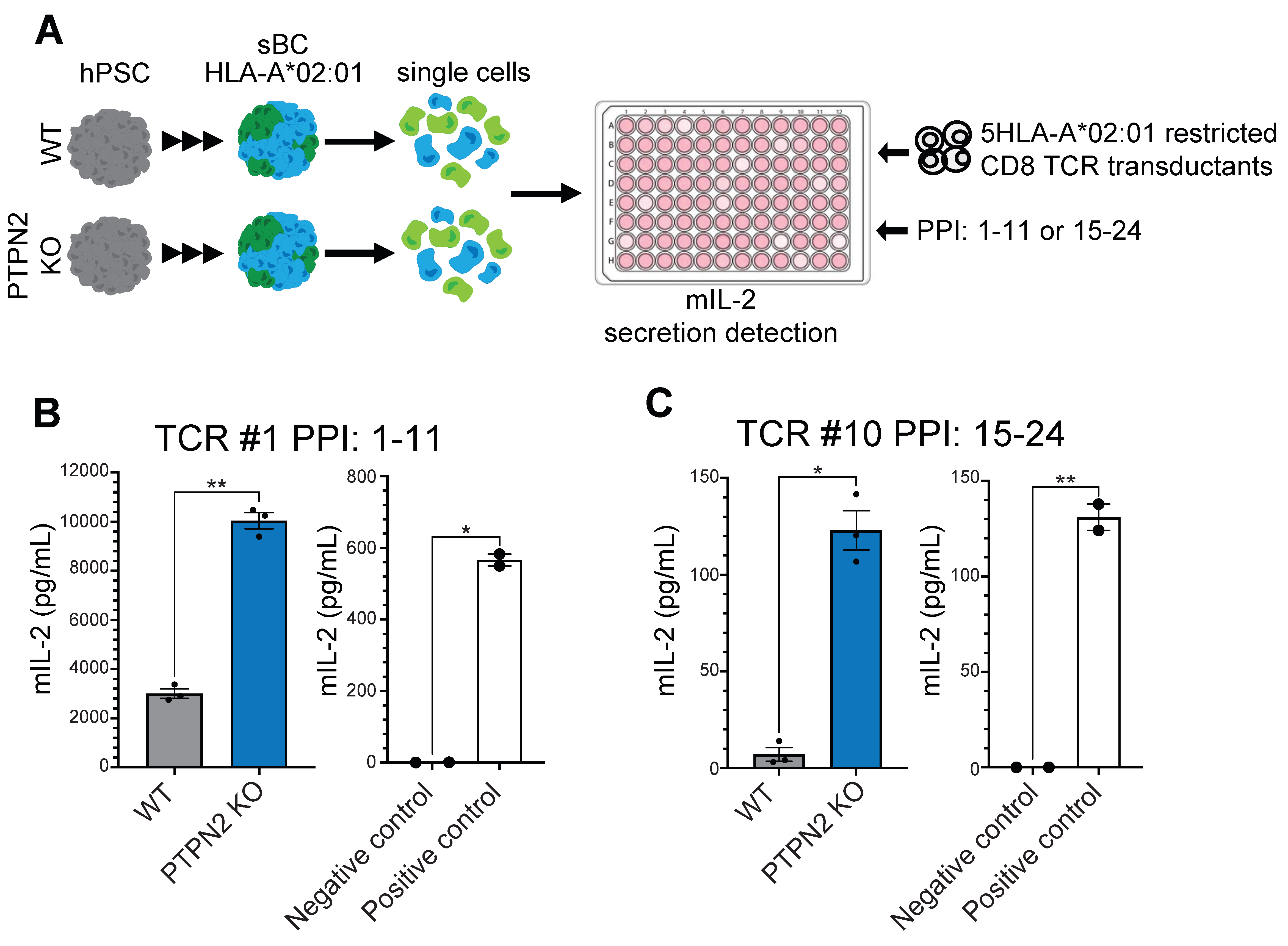Cells 11 03845 g004 Cells 11 03845 g004