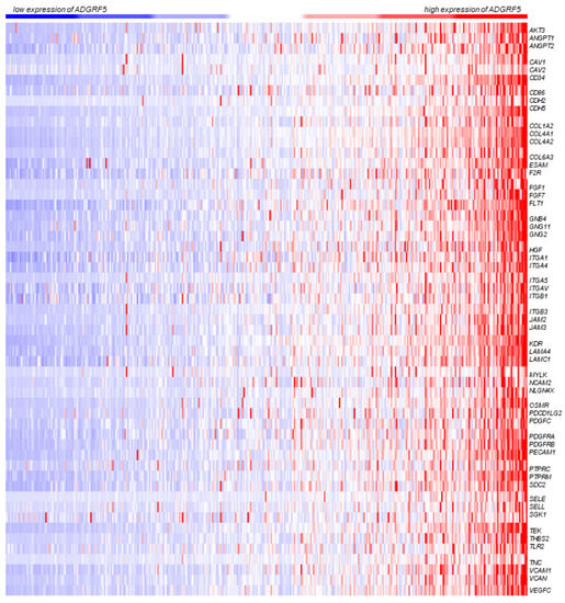 Cells | Free Full-Text | The Expression Pattern of Adhesion G 