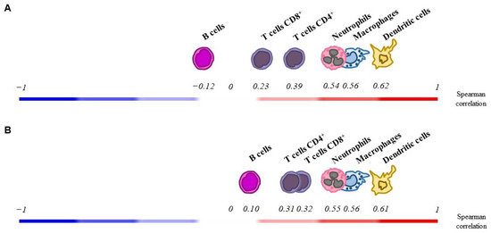 Cells | Free Full-Text | The Expression Pattern of Adhesion G 