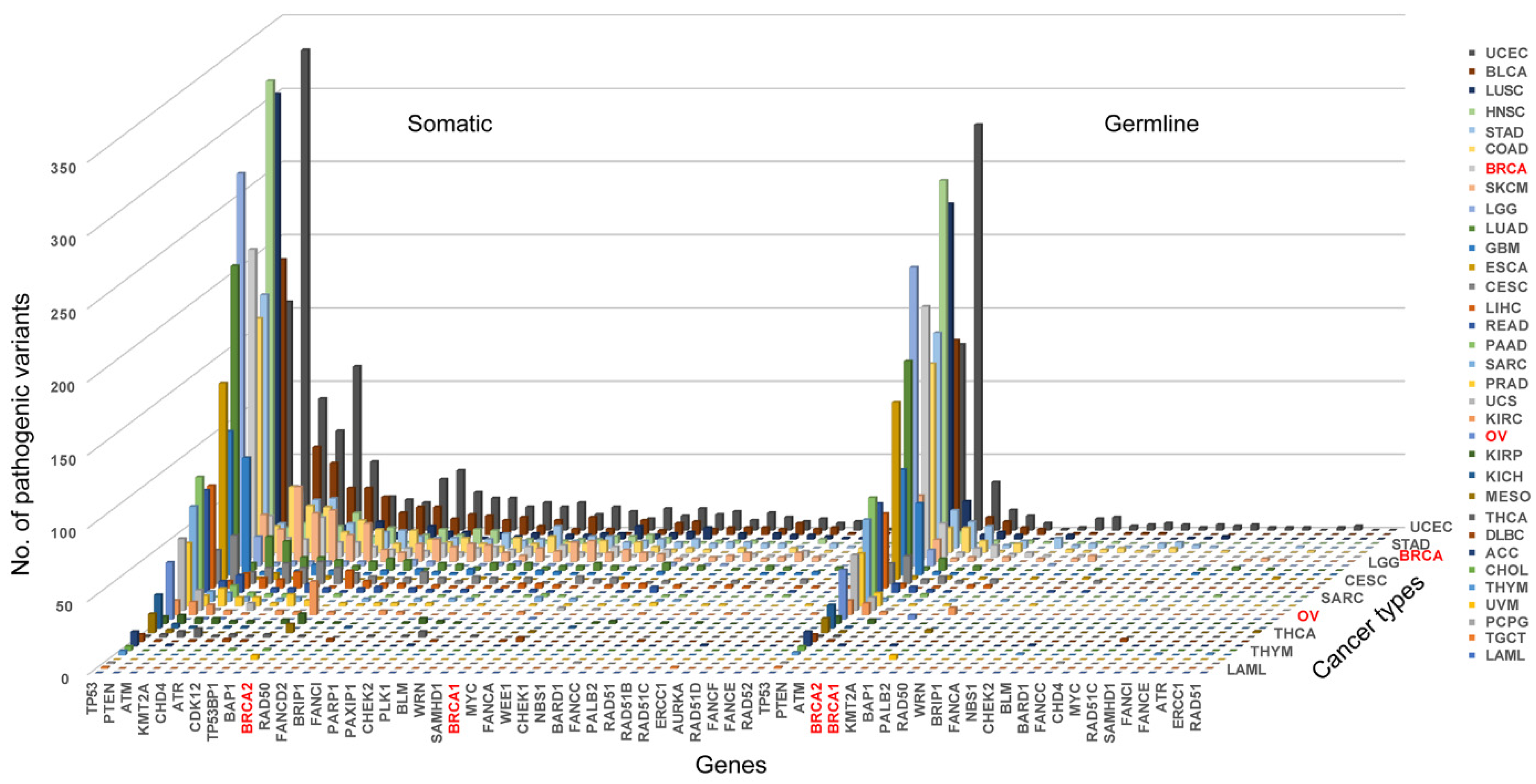 Cells 11 03877 g002 Cells 11 03877 g002