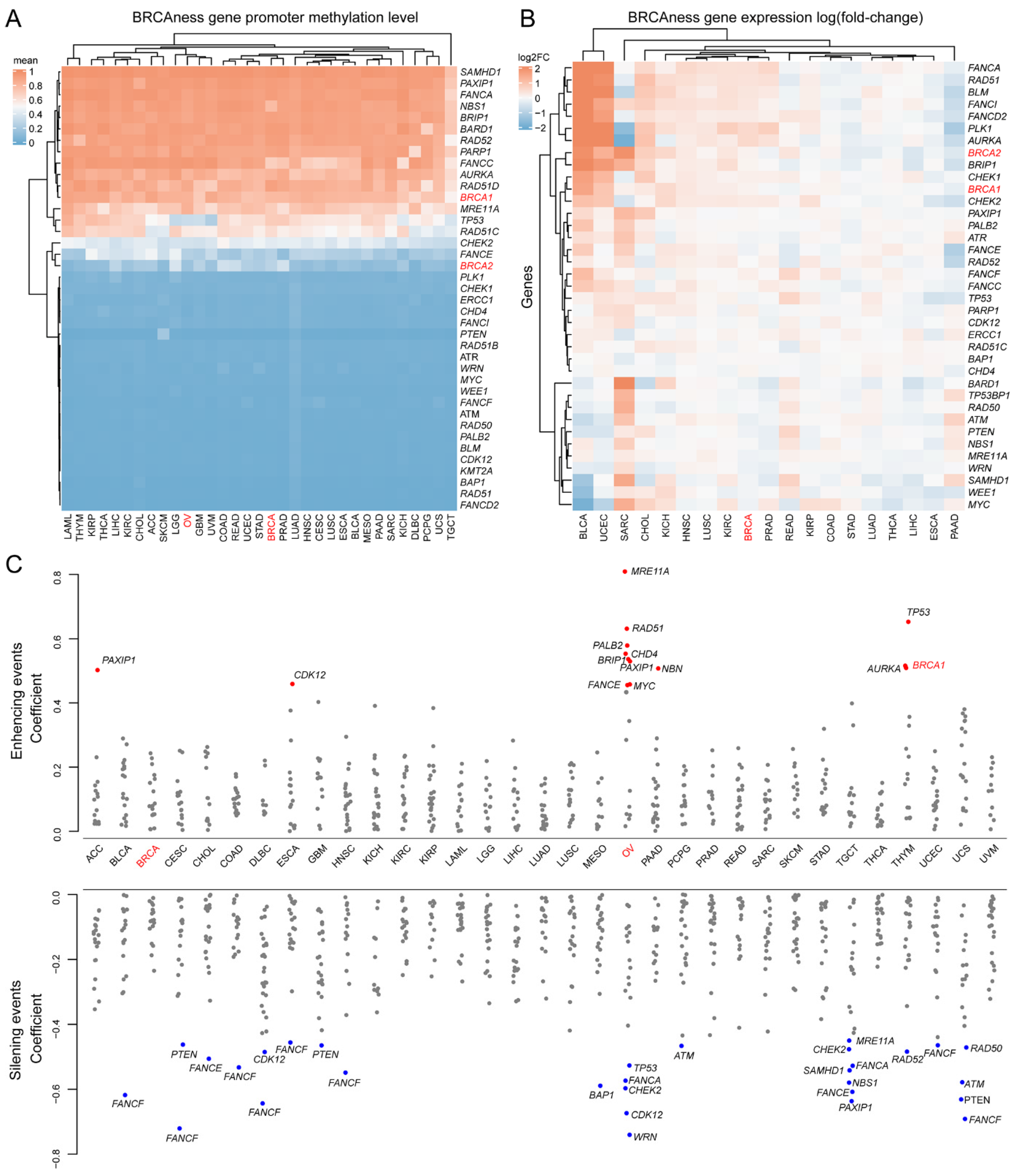 Cells 11 03877 g005 Cells 11 03877 g005