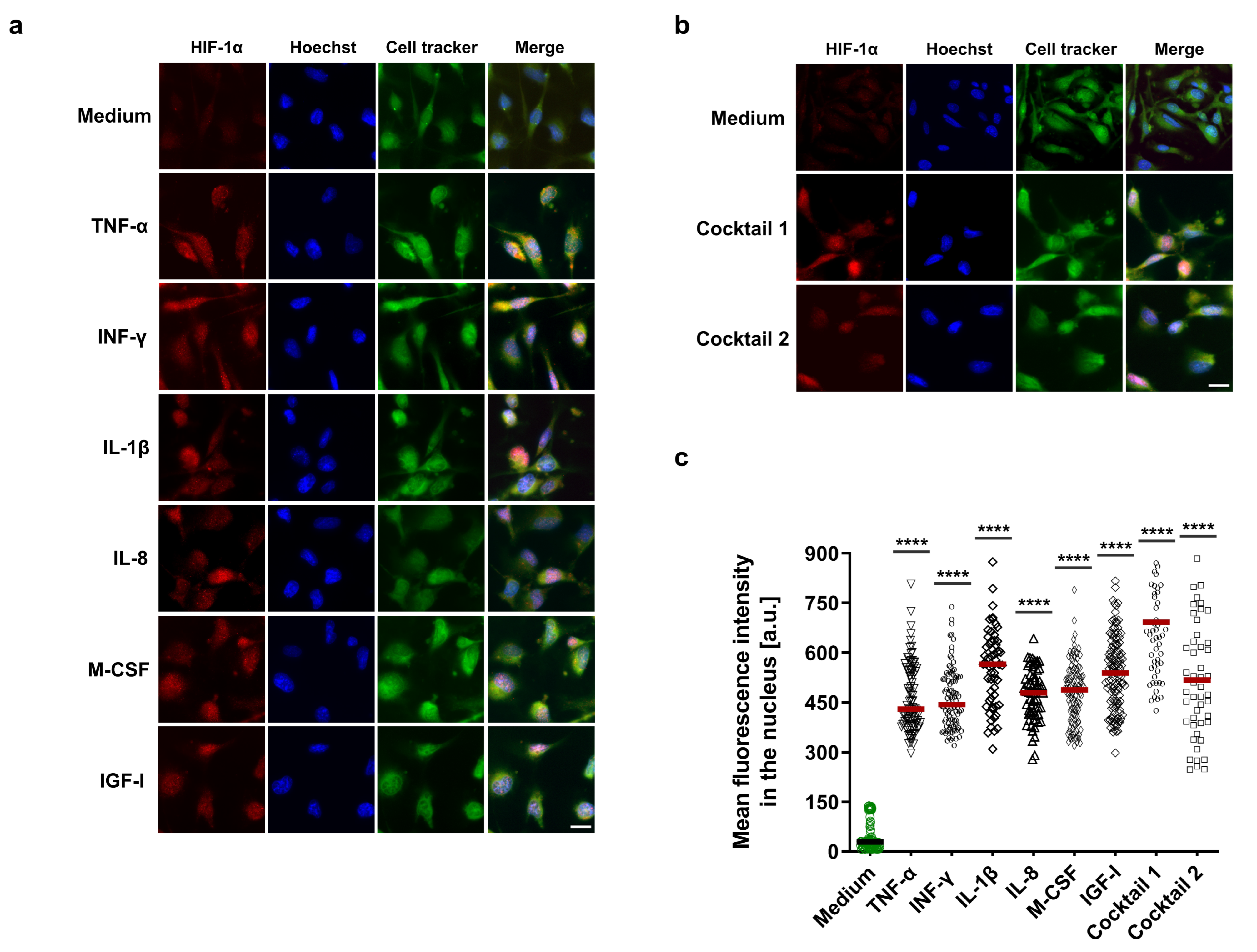 Cells 11 03878 g003 Cells 11 03878 g003